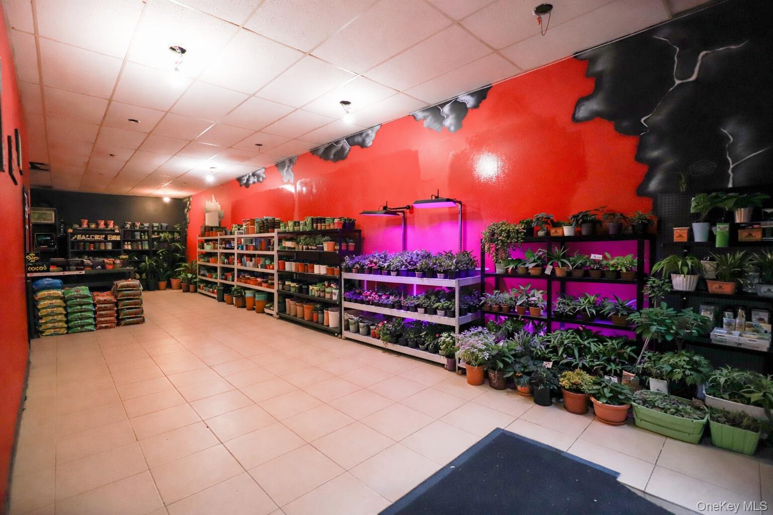 Commercial Lease Pitkin Brooklyn, NY 11207, MLS-942360-18