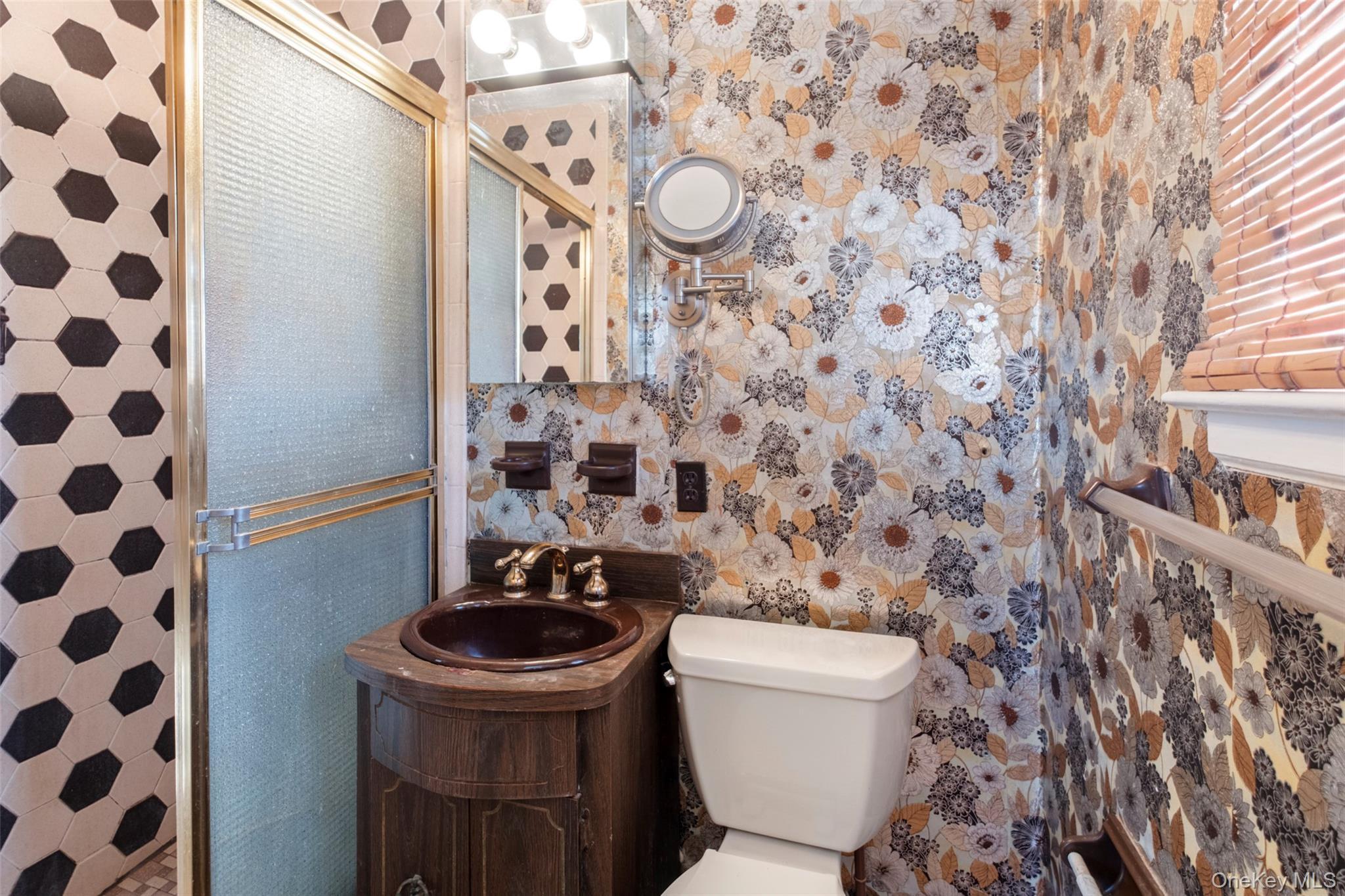 Single Family Birchwood Park Nassau County, NY 11791, MLS-942399-19