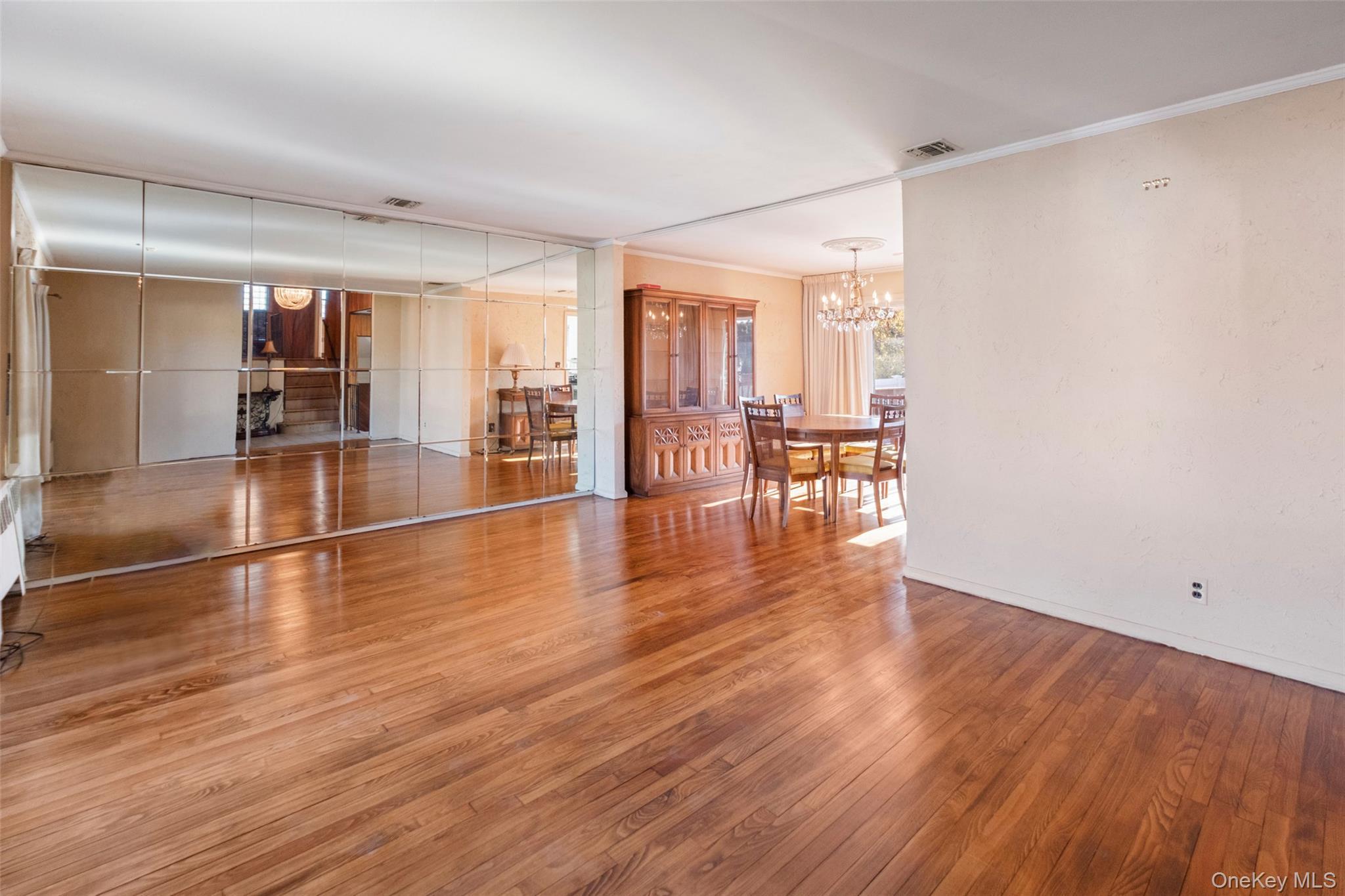 Single Family Birchwood Park Nassau County, NY 11791, MLS-942399-4