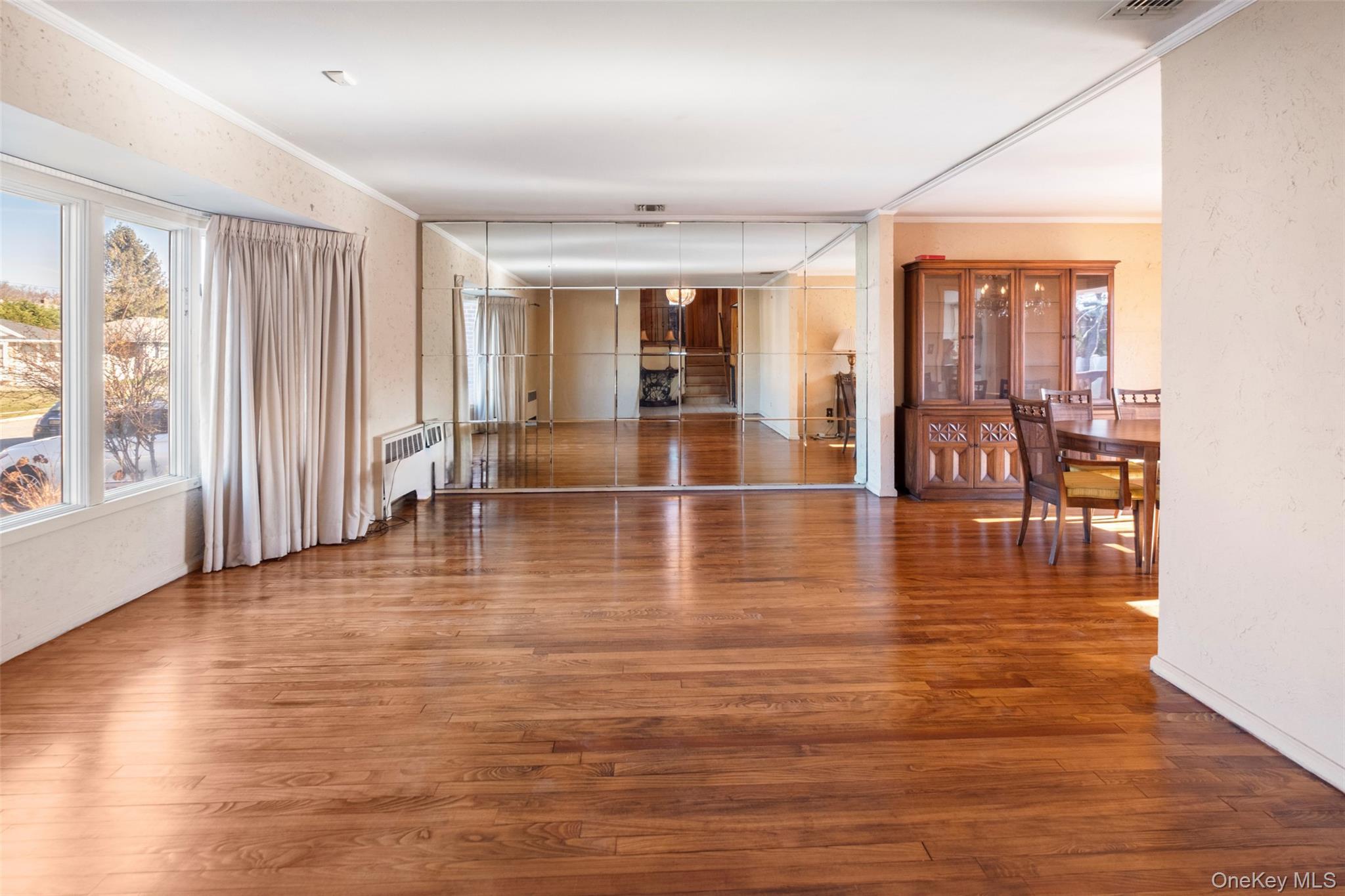 Single Family Birchwood Park Nassau County, NY 11791, MLS-942399-5