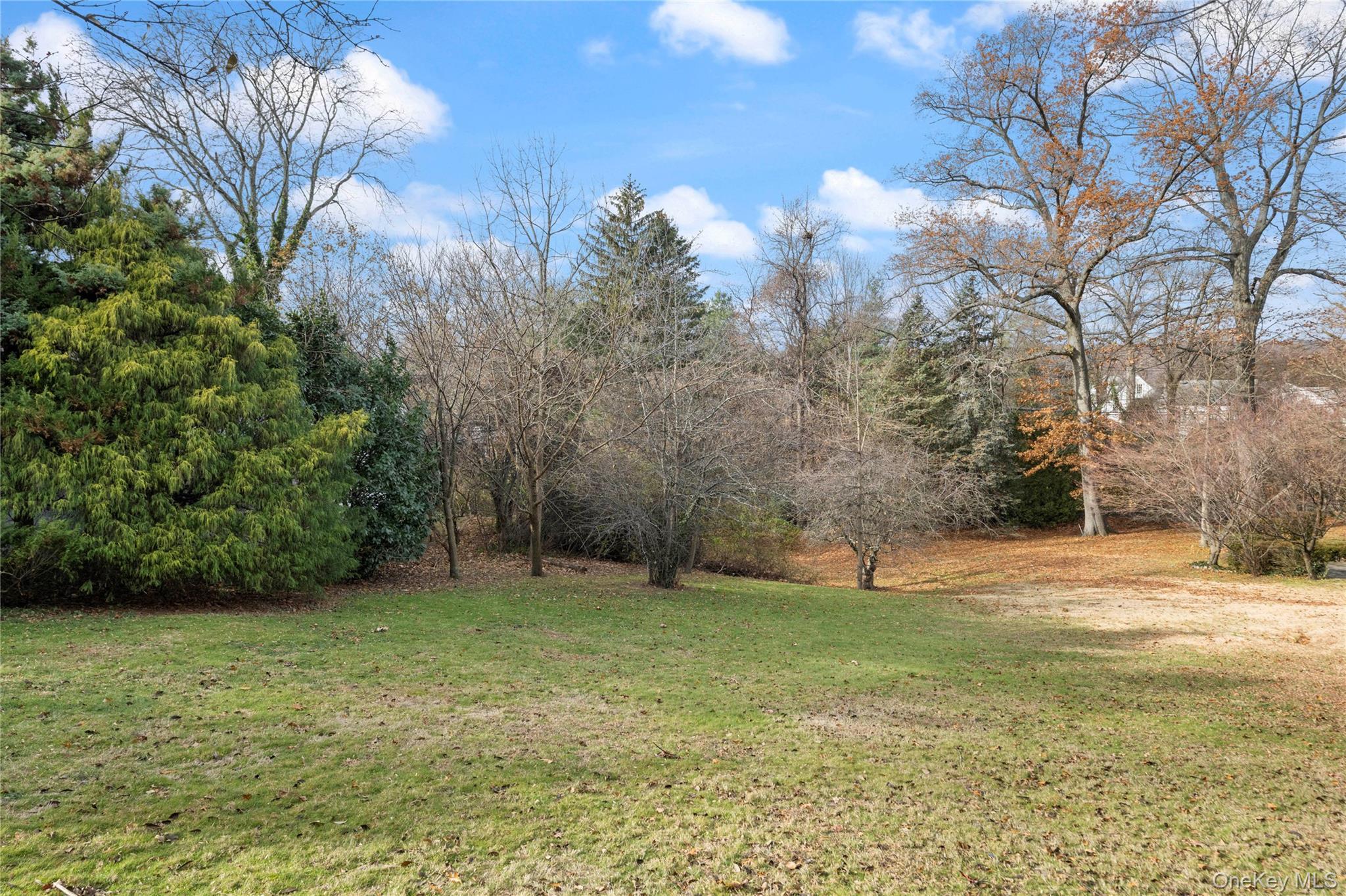Land Ladd Bronx, NY 10471, MLS-942419-3