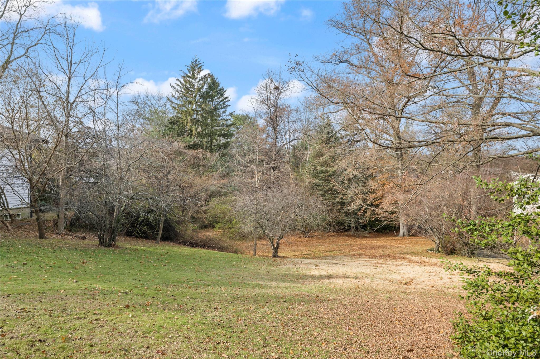 Land Ladd Bronx, NY 10471, MLS-942419-4