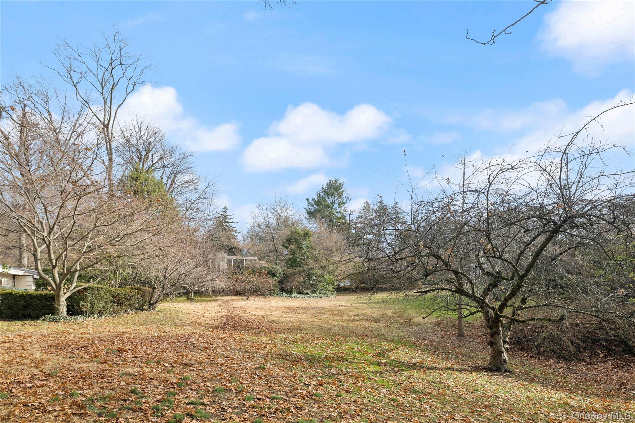 Land Ladd Bronx, NY 10471, MLS-942419-8