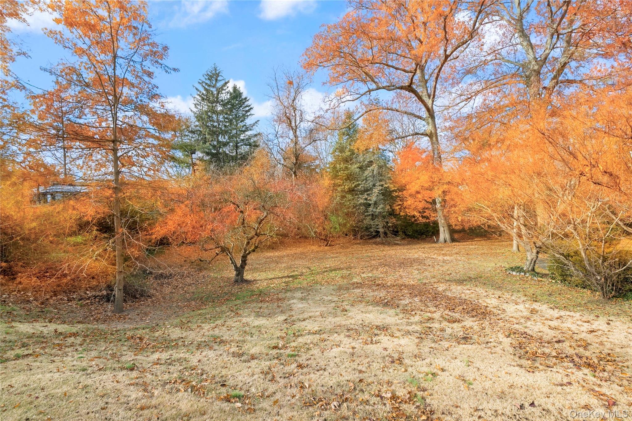 Land Palisade  Bronx, NY 10471, MLS-942420-4