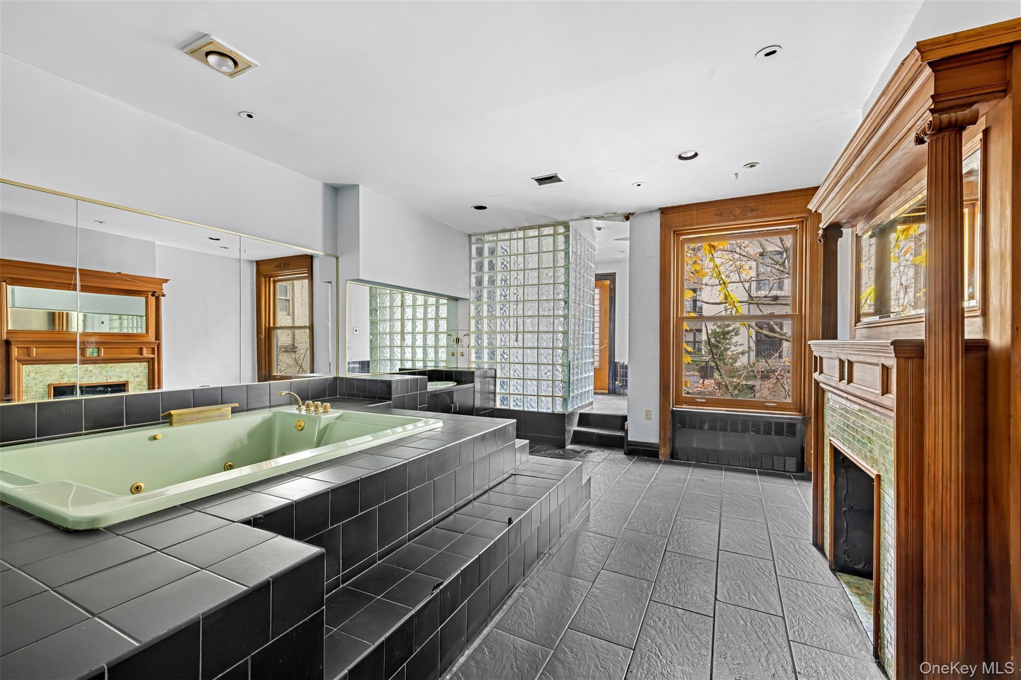 Single Family Hamilton Manhattan, NY 10031, MLS-942501-6