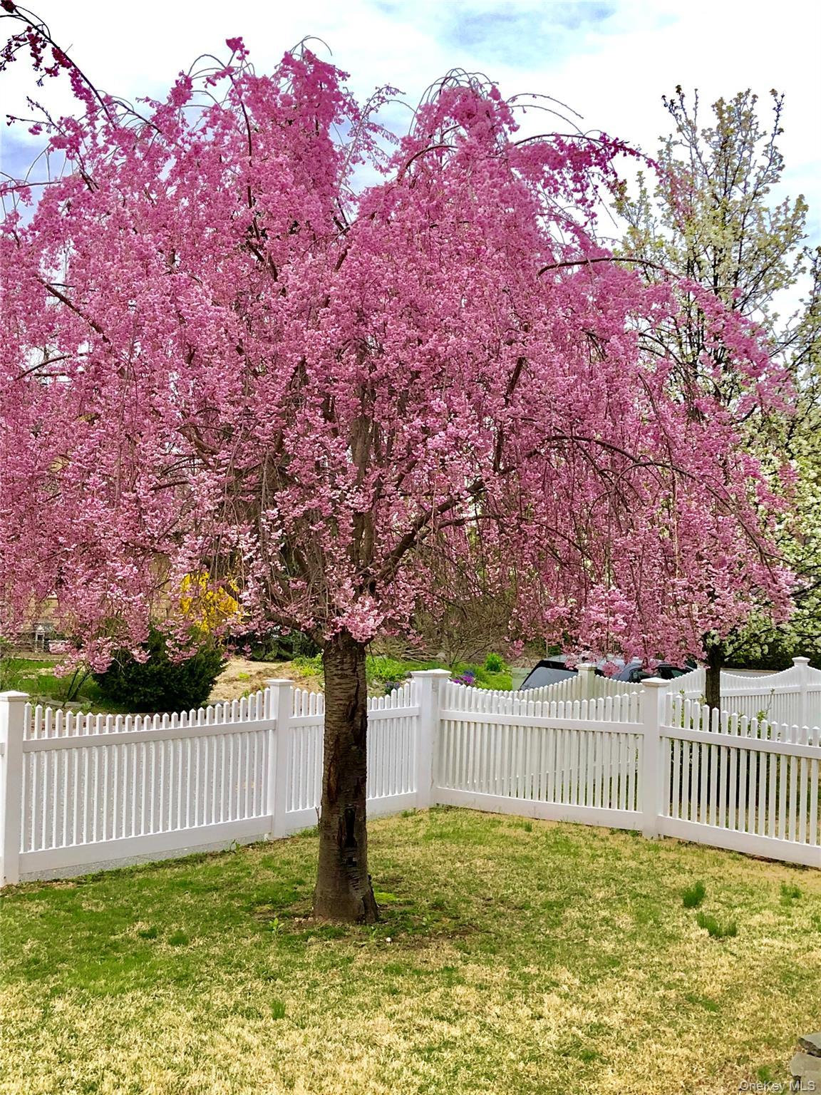 Single Family Jacobson Suffolk County, NY 11743, MLS-942534-3