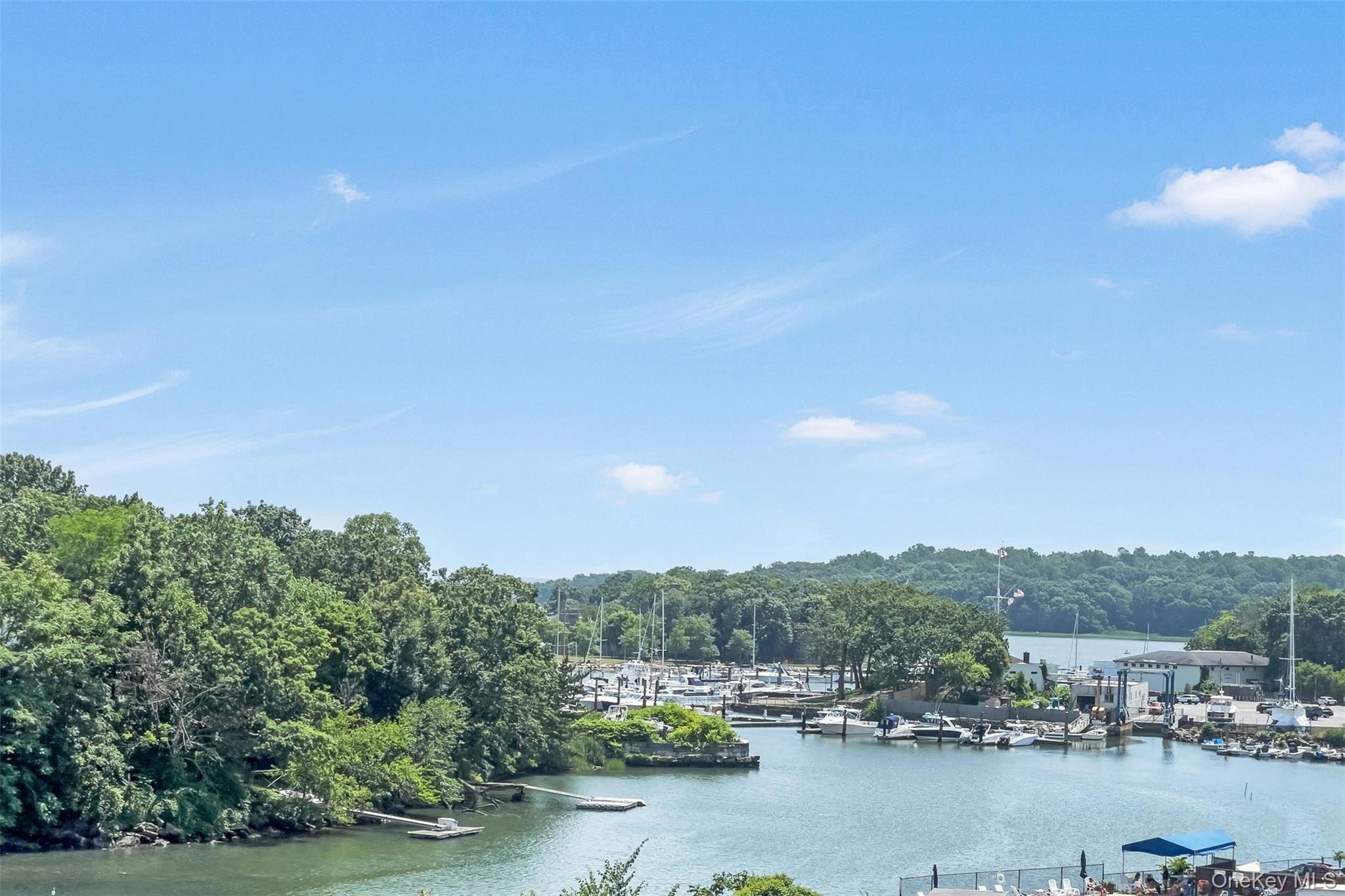 Coop Pelham  Westchester County, NY 10805, MLS-942555-21