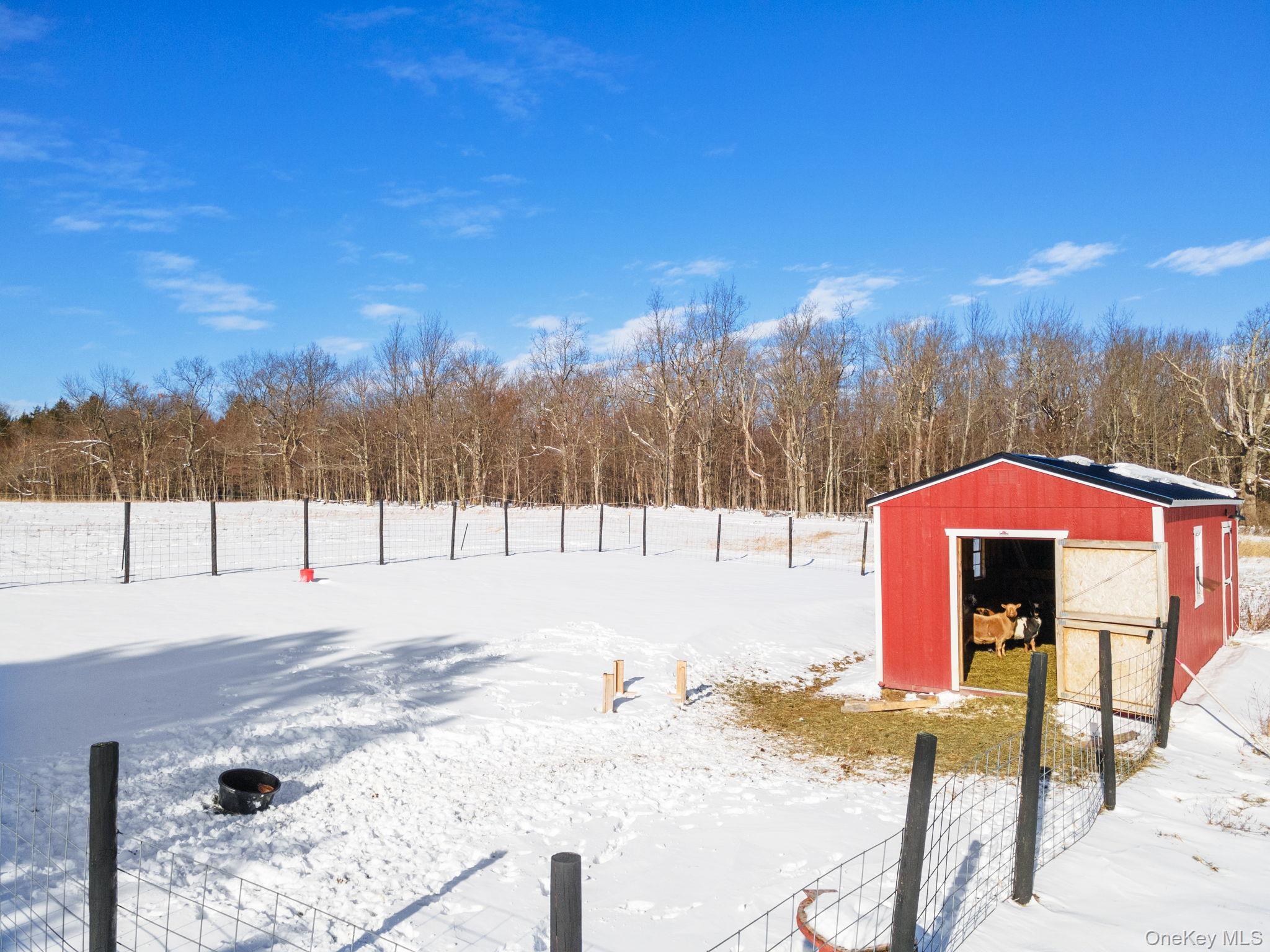 Single Family Patria  Out Of Area, NY 12071, MLS-942575-40