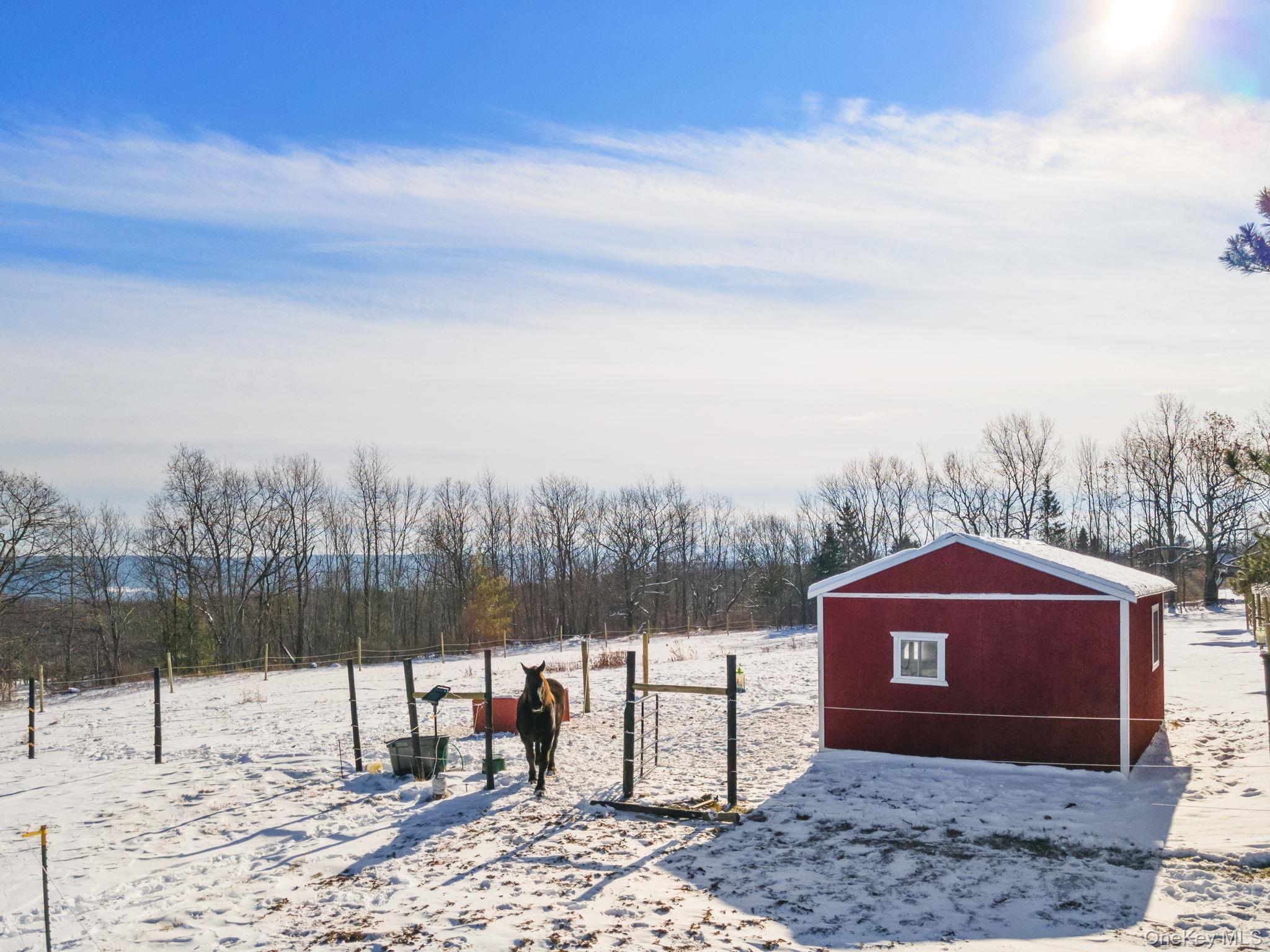 Single Family Patria  Out Of Area, NY 12071, MLS-942575-41