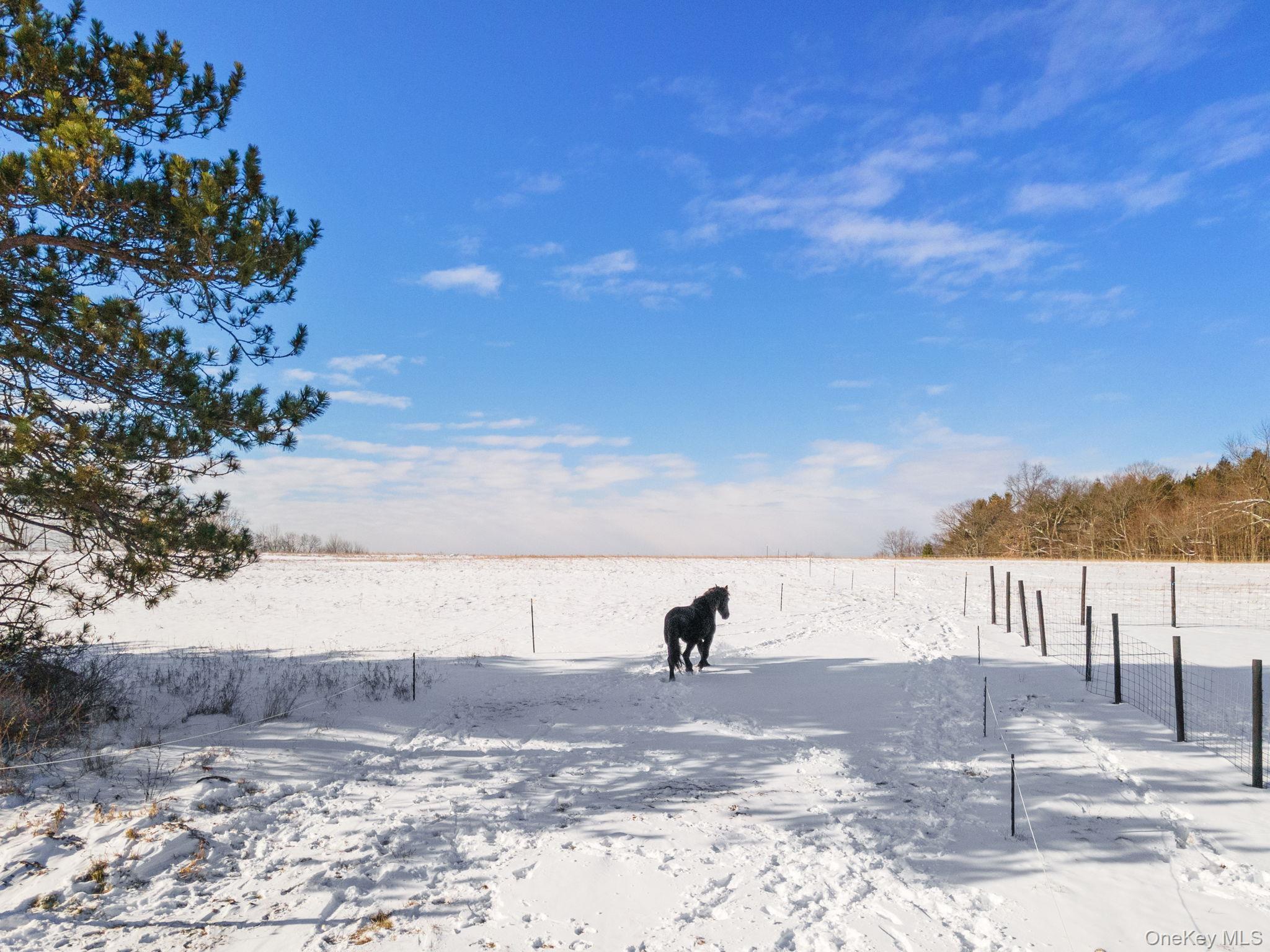 Single Family Patria  Out Of Area, NY 12071, MLS-942575-44