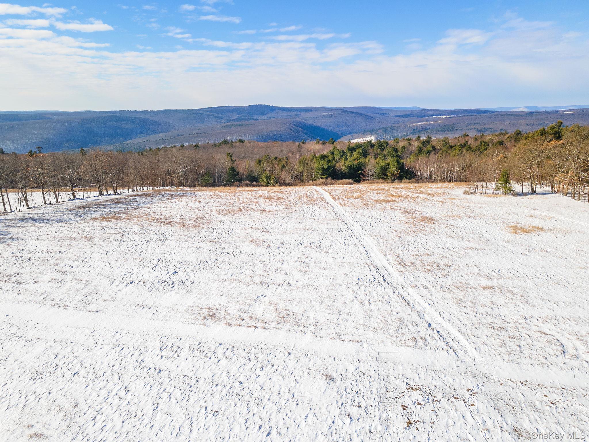 Single Family Patria  Out Of Area, NY 12071, MLS-942575-45