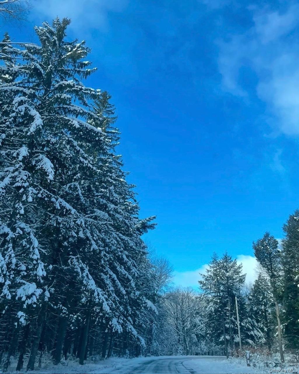 Single Family Patria  Out Of Area, NY 12071, MLS-942575-50