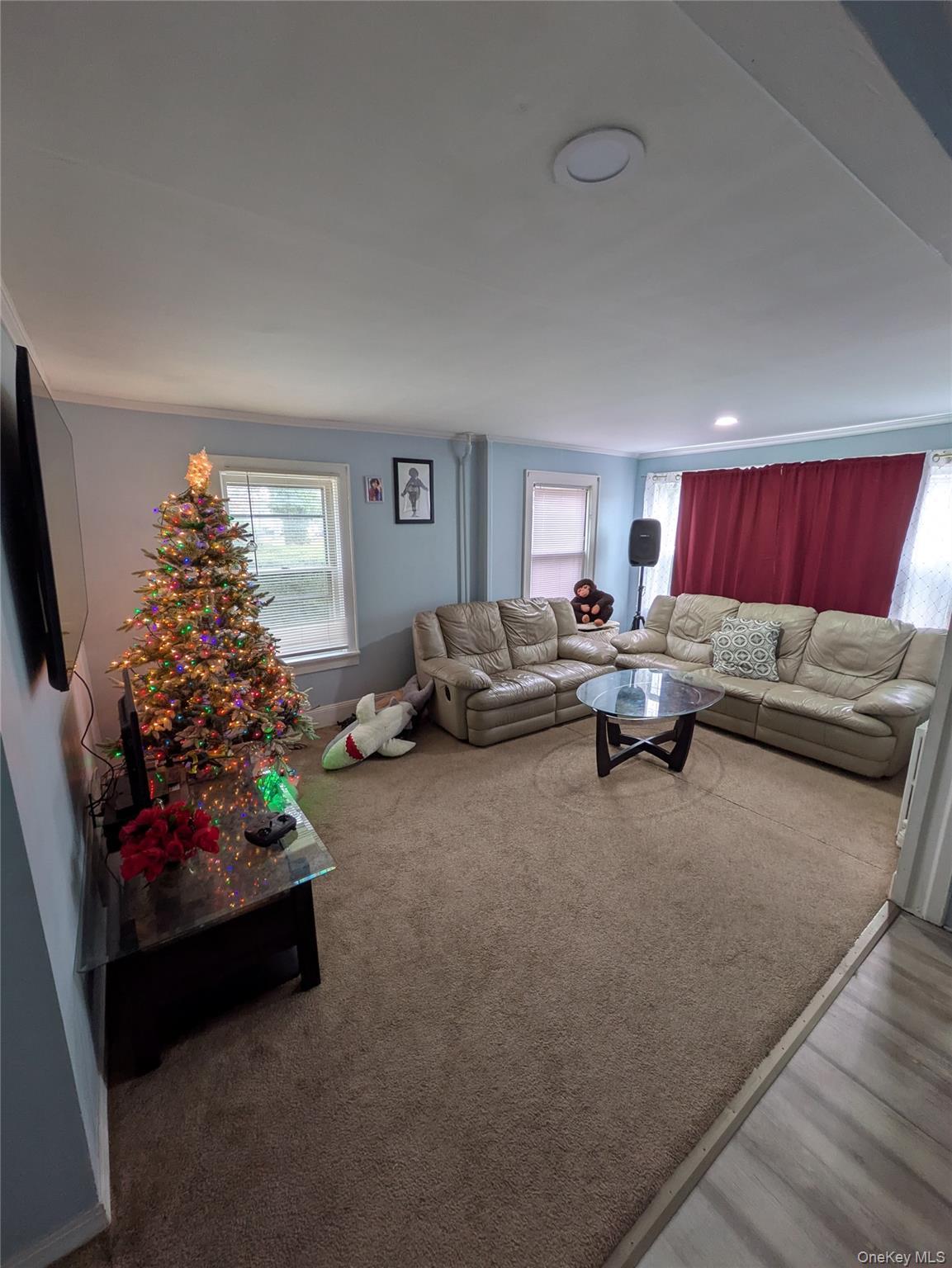 Single Family Stone Suffolk County, NY 11703, MLS-942628-2