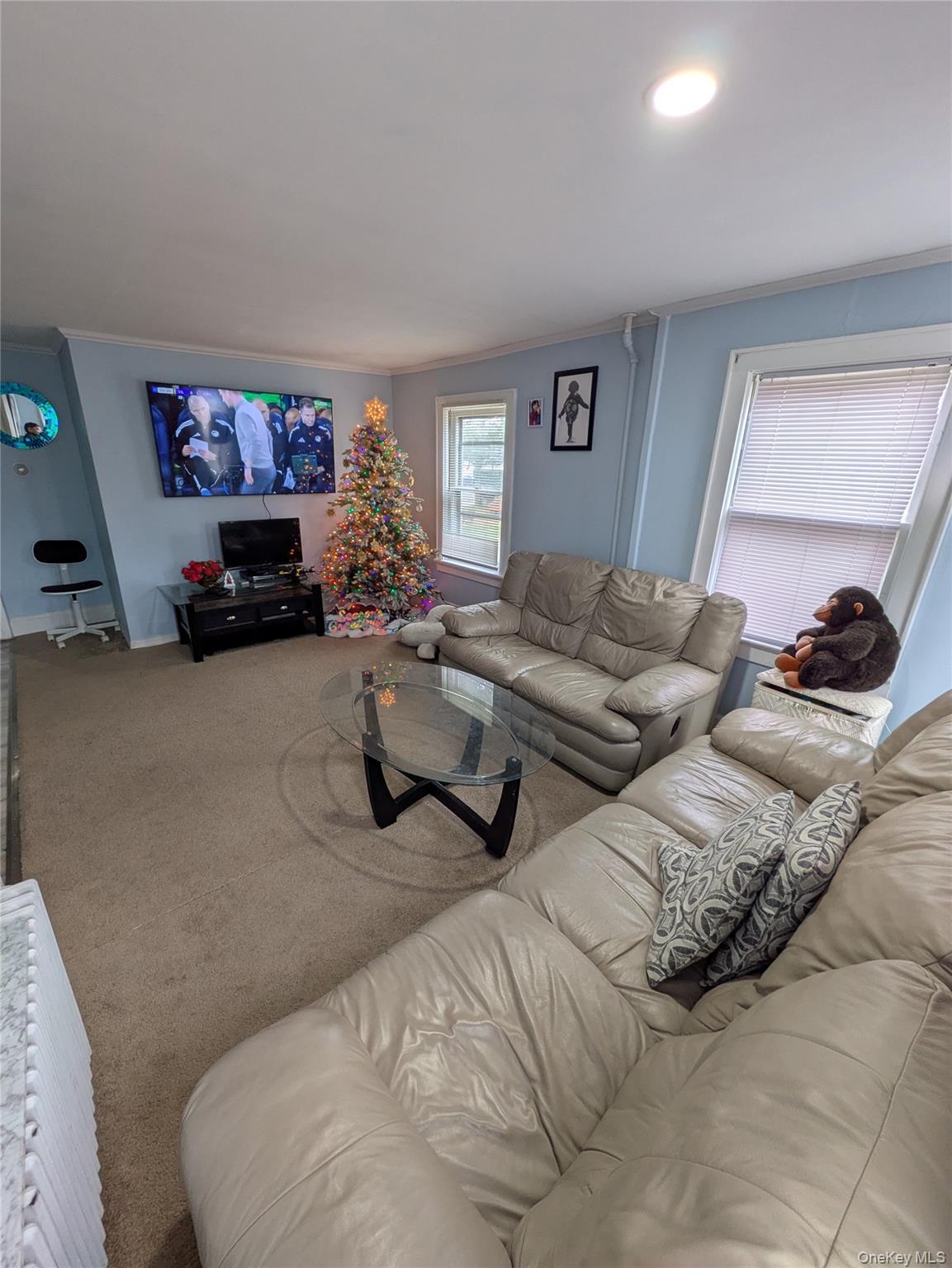 Single Family Stone Suffolk County, NY 11703, MLS-942628-3