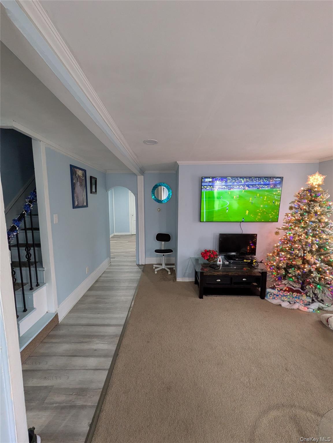 Single Family Stone Suffolk County, NY 11703, MLS-942628-4