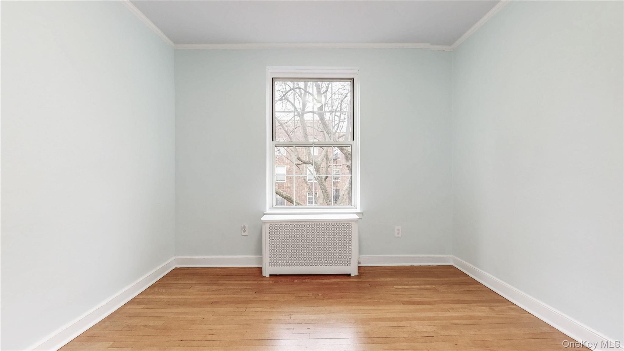 Coop 85th  Queens, NY 11372, MLS-942652-32