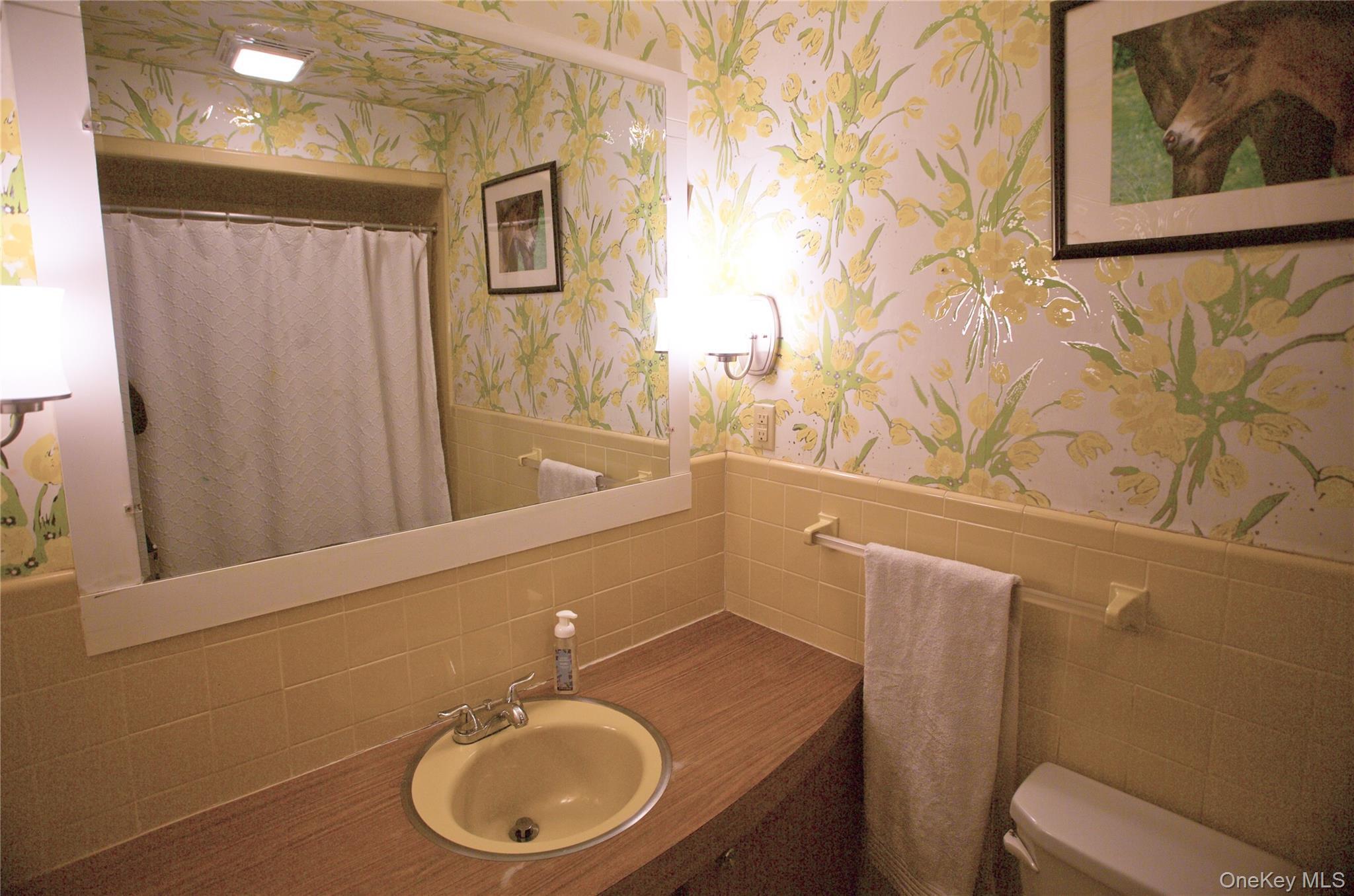 Single Family Yaun Sullivan County, NY 12754, MLS-942722-13