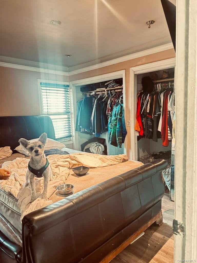 Single Family Morgan Bronx, NY 10469, MLS-942808-7