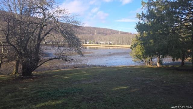 Condo Mountain Laurel  Orange County, NY 10950, MLS-942812-13