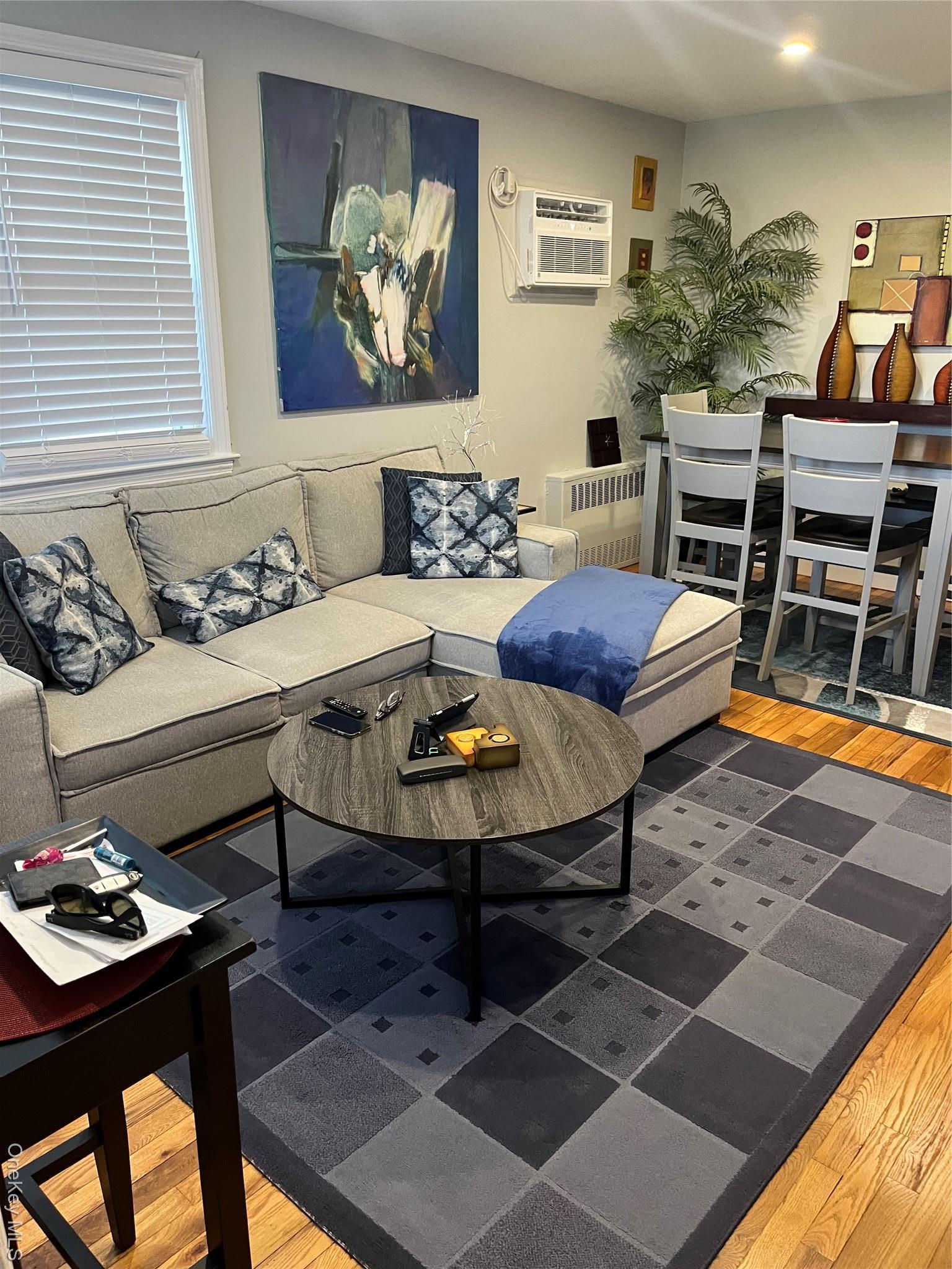 Single Family Park Nassau County, NY 11561, MLS-942830-2