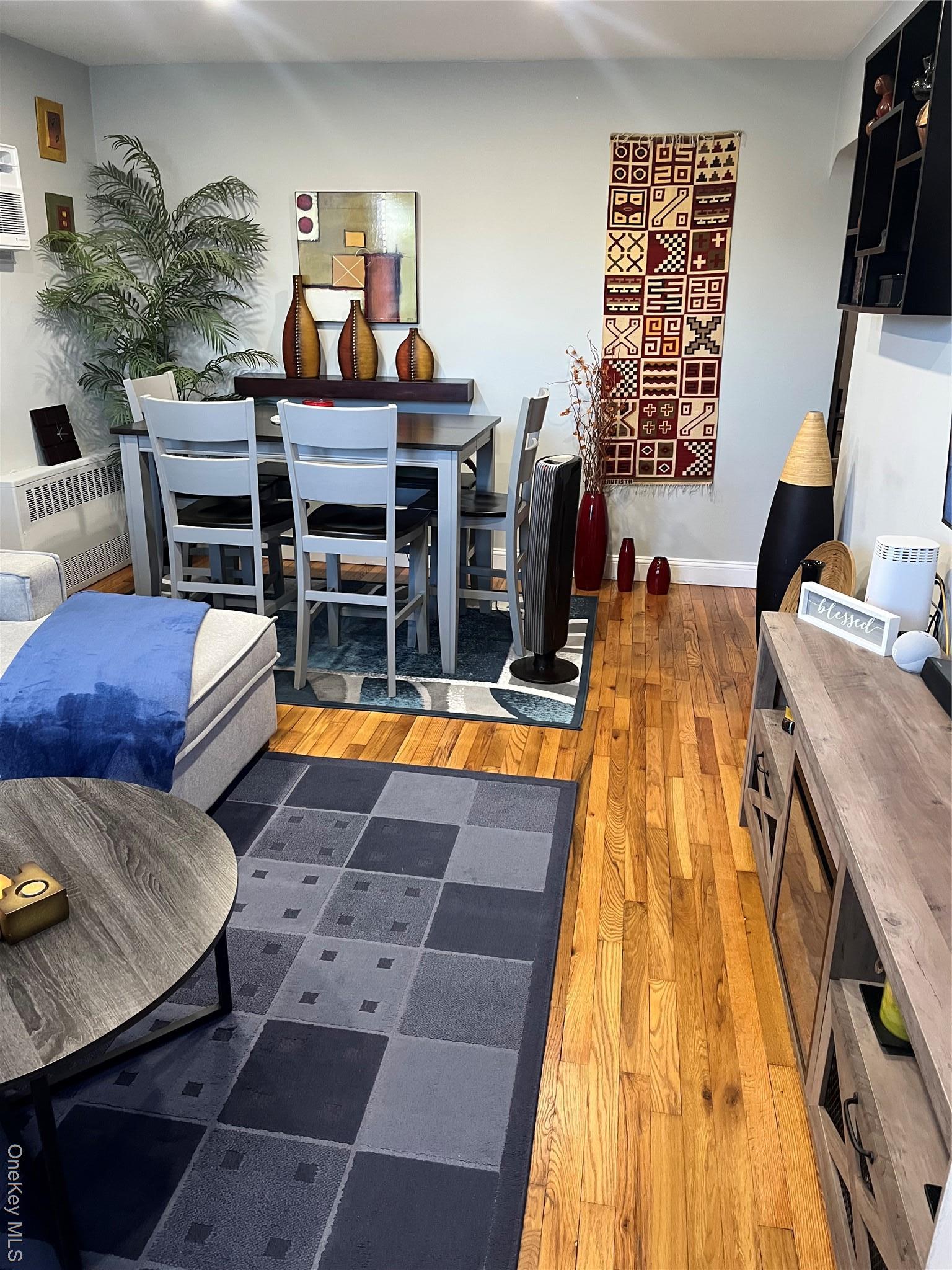 Single Family Park Nassau County, NY 11561, MLS-942830-4