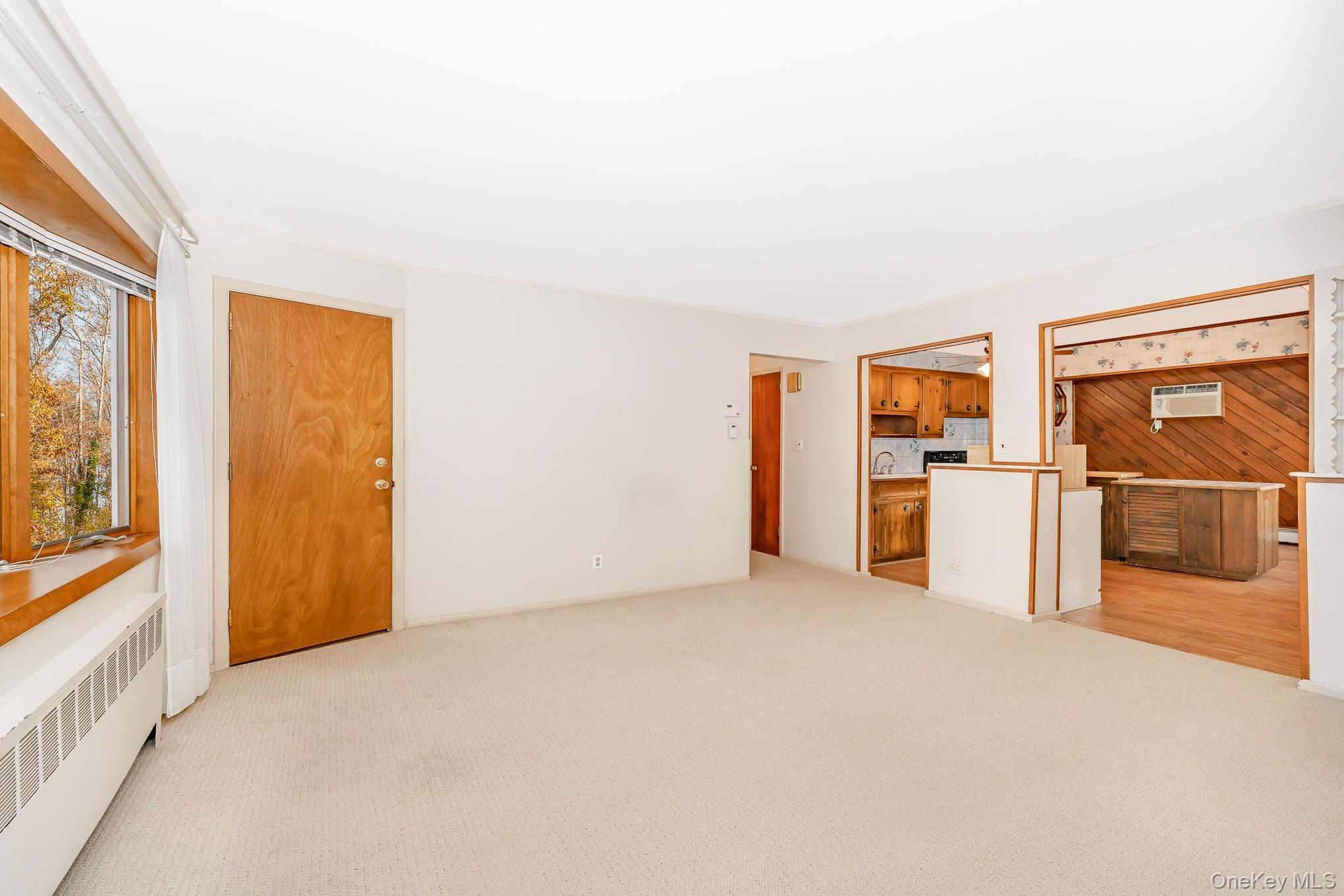 Single Family Pine Nassau County, NY 11758, MLS-942872-3