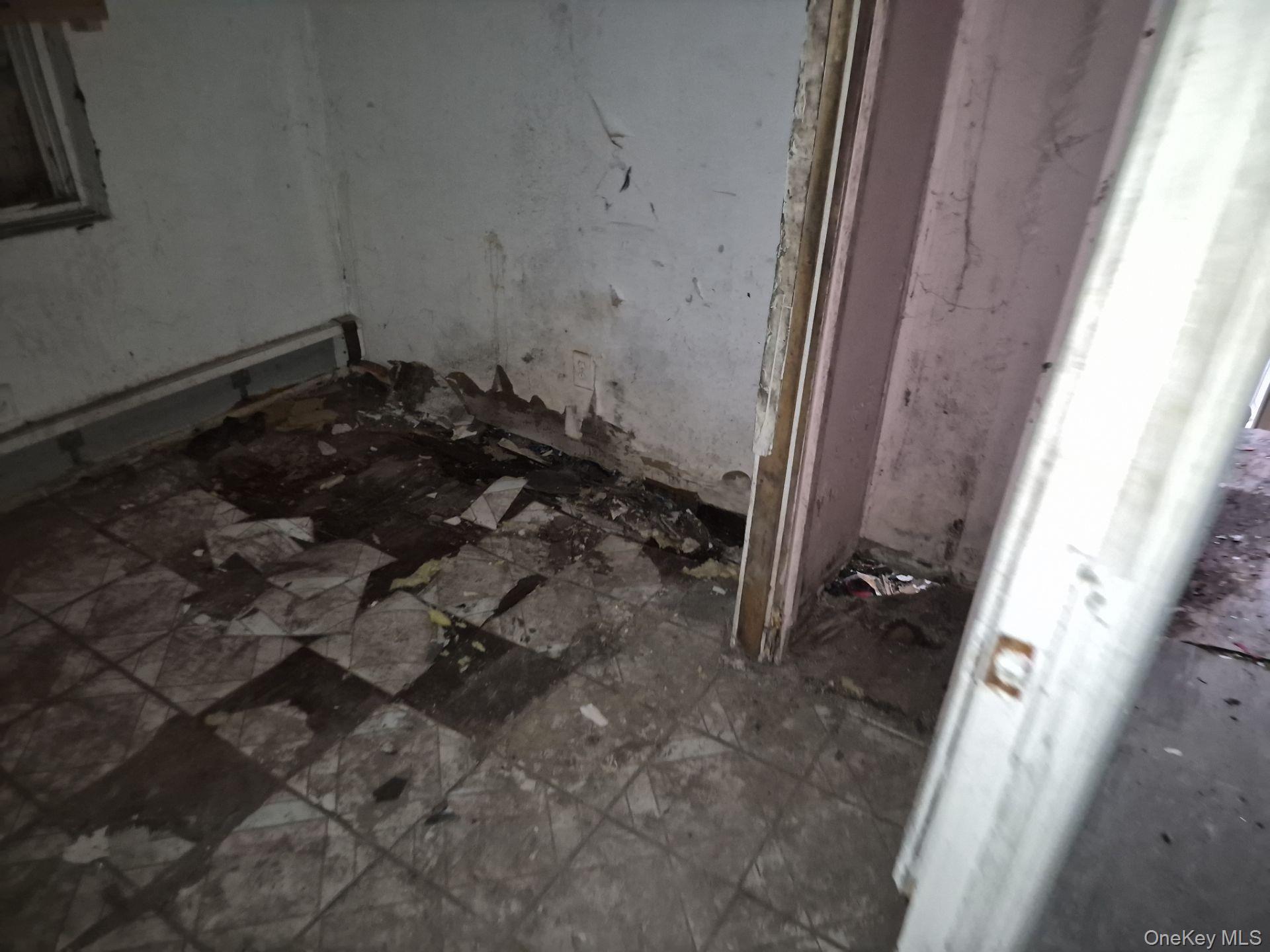 Single Family College Bronx, NY 10456, MLS-943006-6