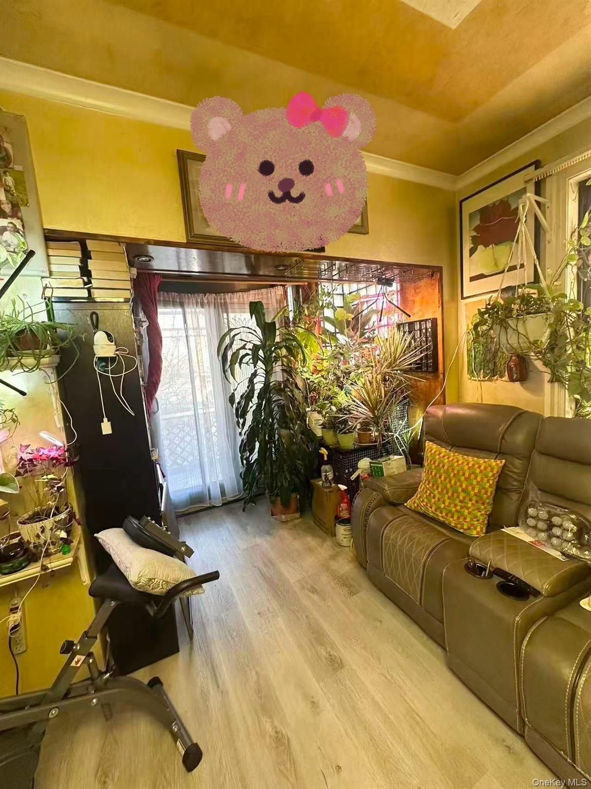 Single Family Van Cleef  Queens, NY 11368, MLS-943042-9