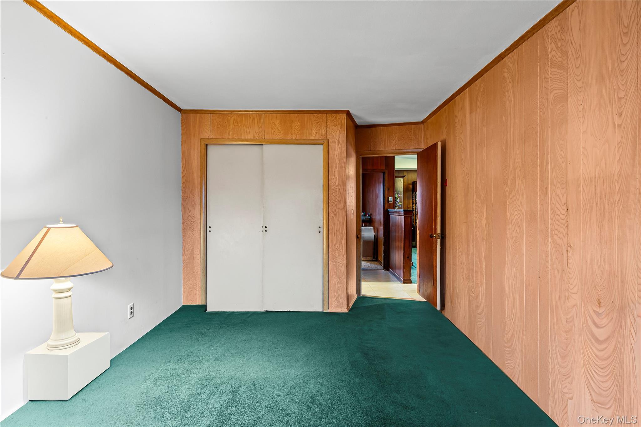 Single Family Western  Nassau County, NY 11510, MLS-943135-16