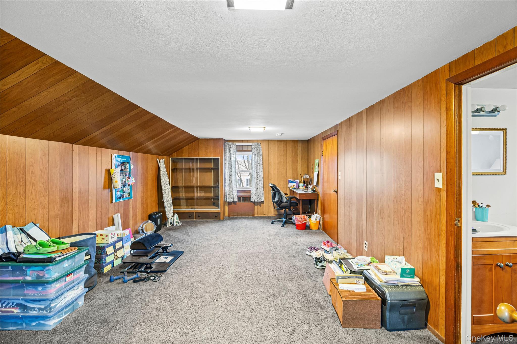 Single Family Western  Nassau County, NY 11510, MLS-943135-27