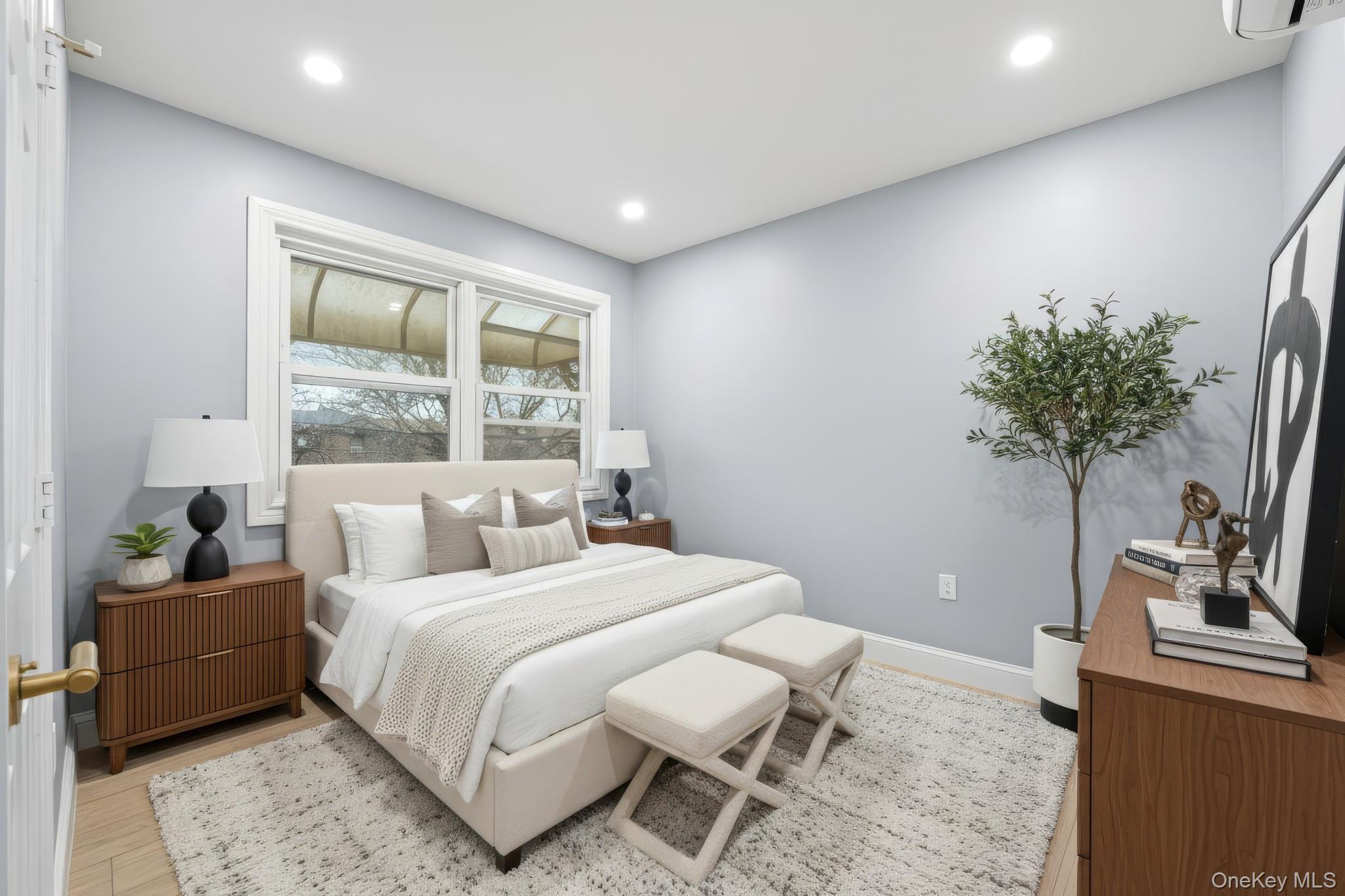 Single Family Blake Brooklyn, NY 11207, MLS-943215-9