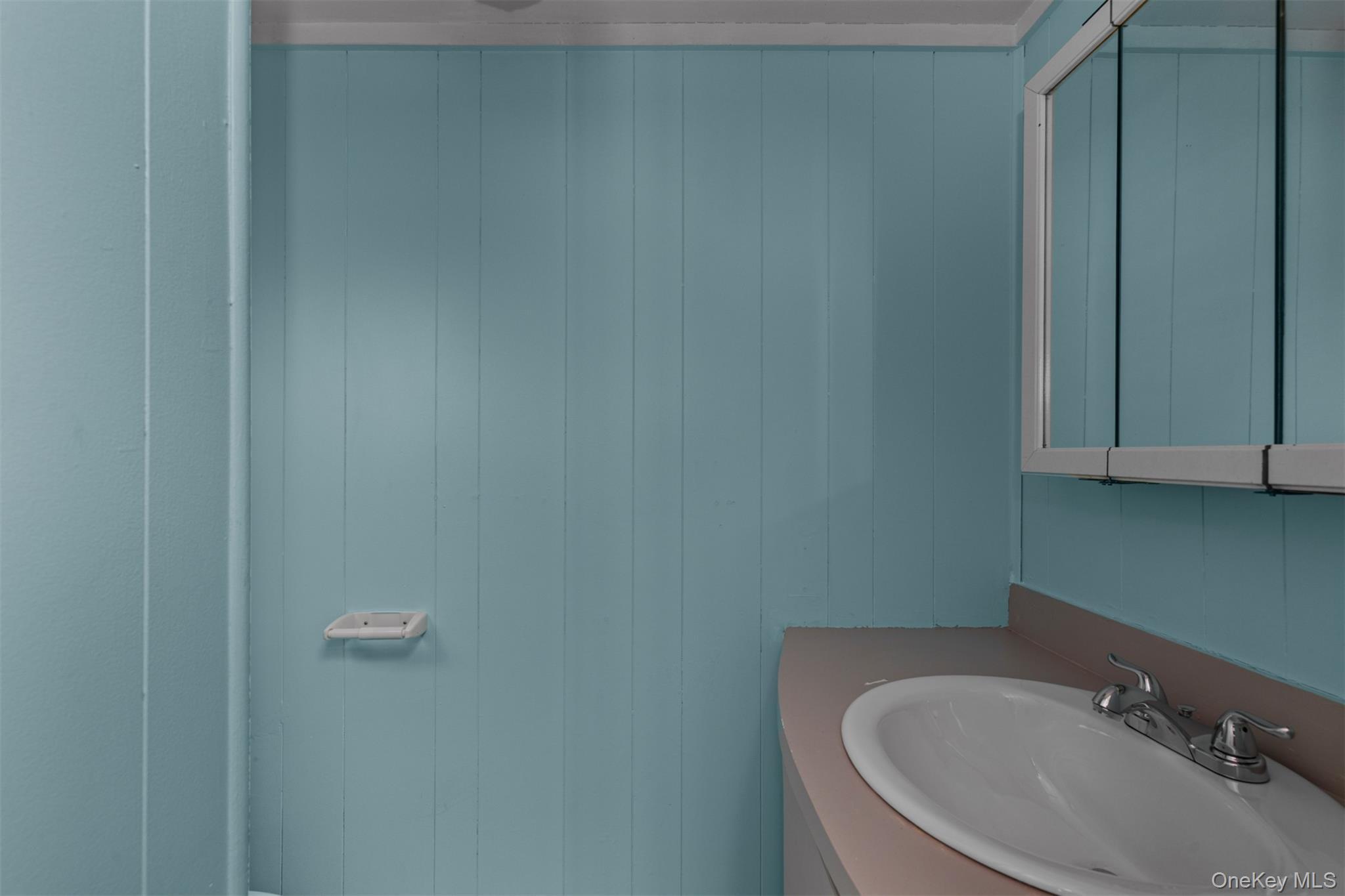 Single Family Orchard Nassau County, NY 11710, MLS-943270-10