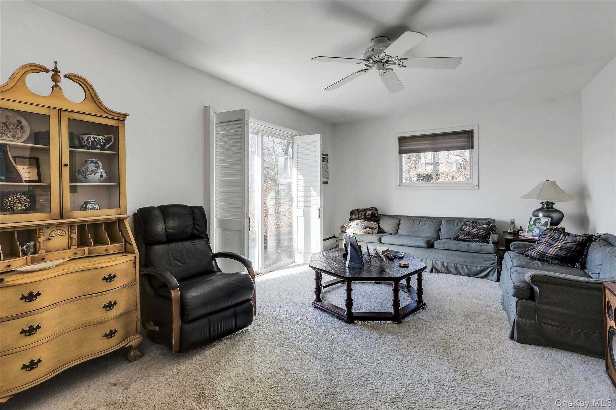 Single Family Glacier Suffolk County, NY 11787, MLS-943324-14