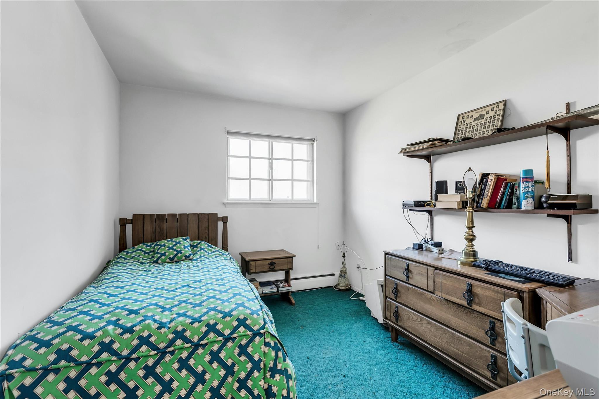 Single Family Glacier Suffolk County, NY 11787, MLS-943324-19