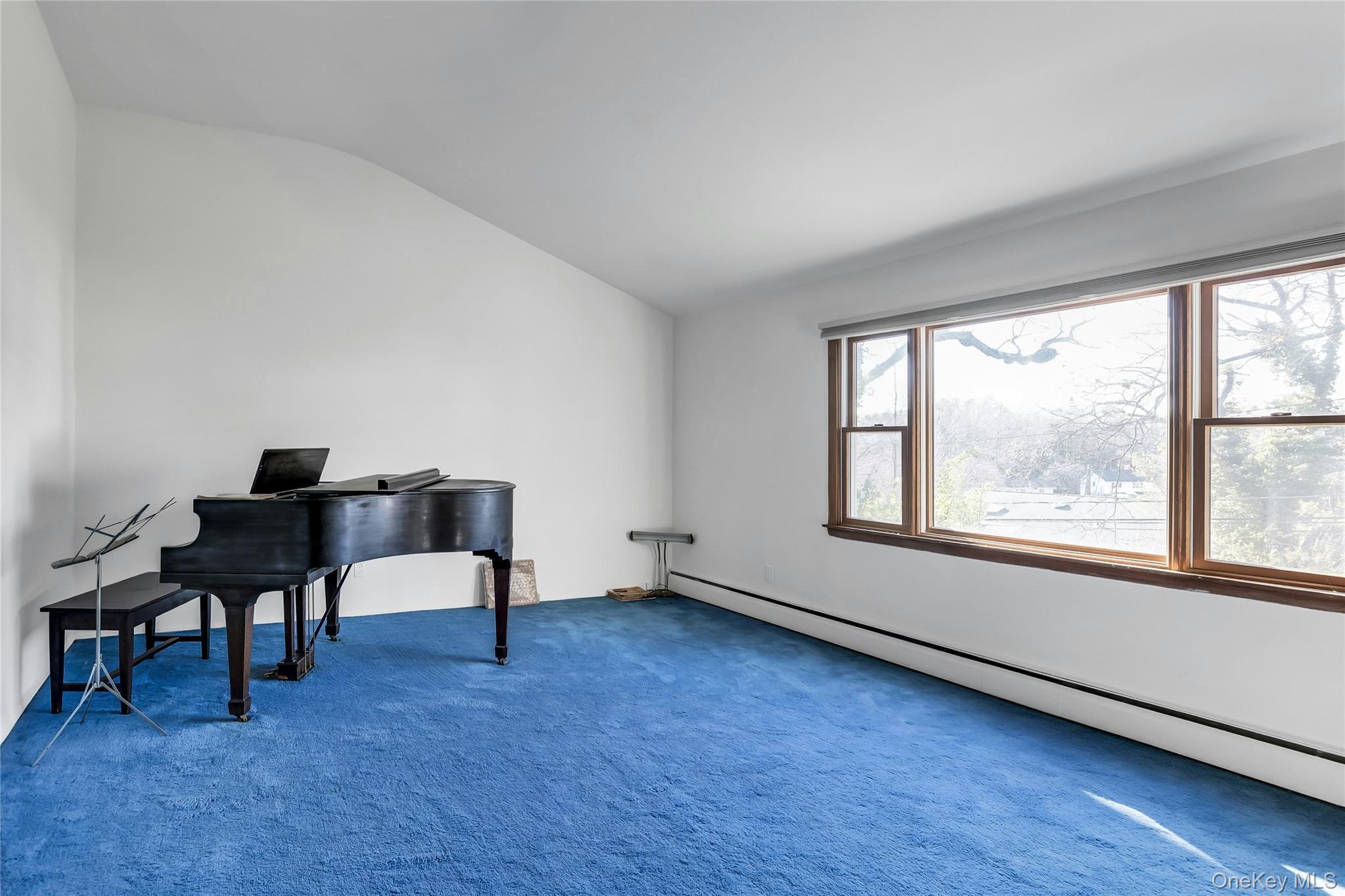 Single Family Glacier Suffolk County, NY 11787, MLS-943324-4