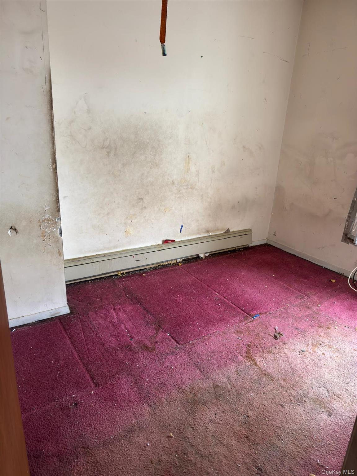 Single Family 155th Queens, NY 11434, MLS-943465-3