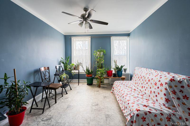 Single Family Ashford  Brooklyn, NY 11207, MLS-943529-10