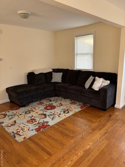 Single Family Hudson Nassau County, NY 11518, MLS-943536-17