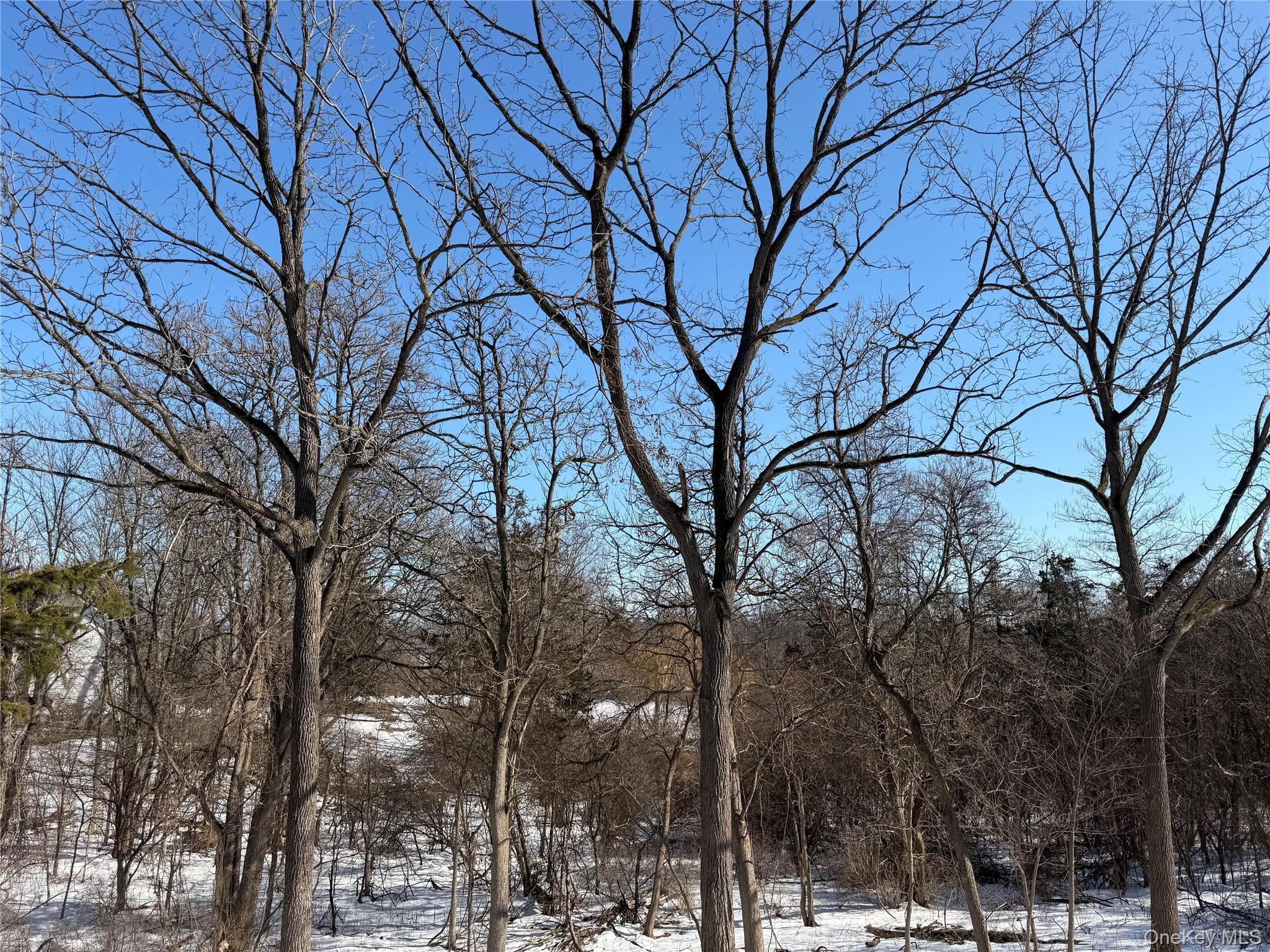 Single Family Us Route 9w  Greene County, NY 12015, MLS-943617-36