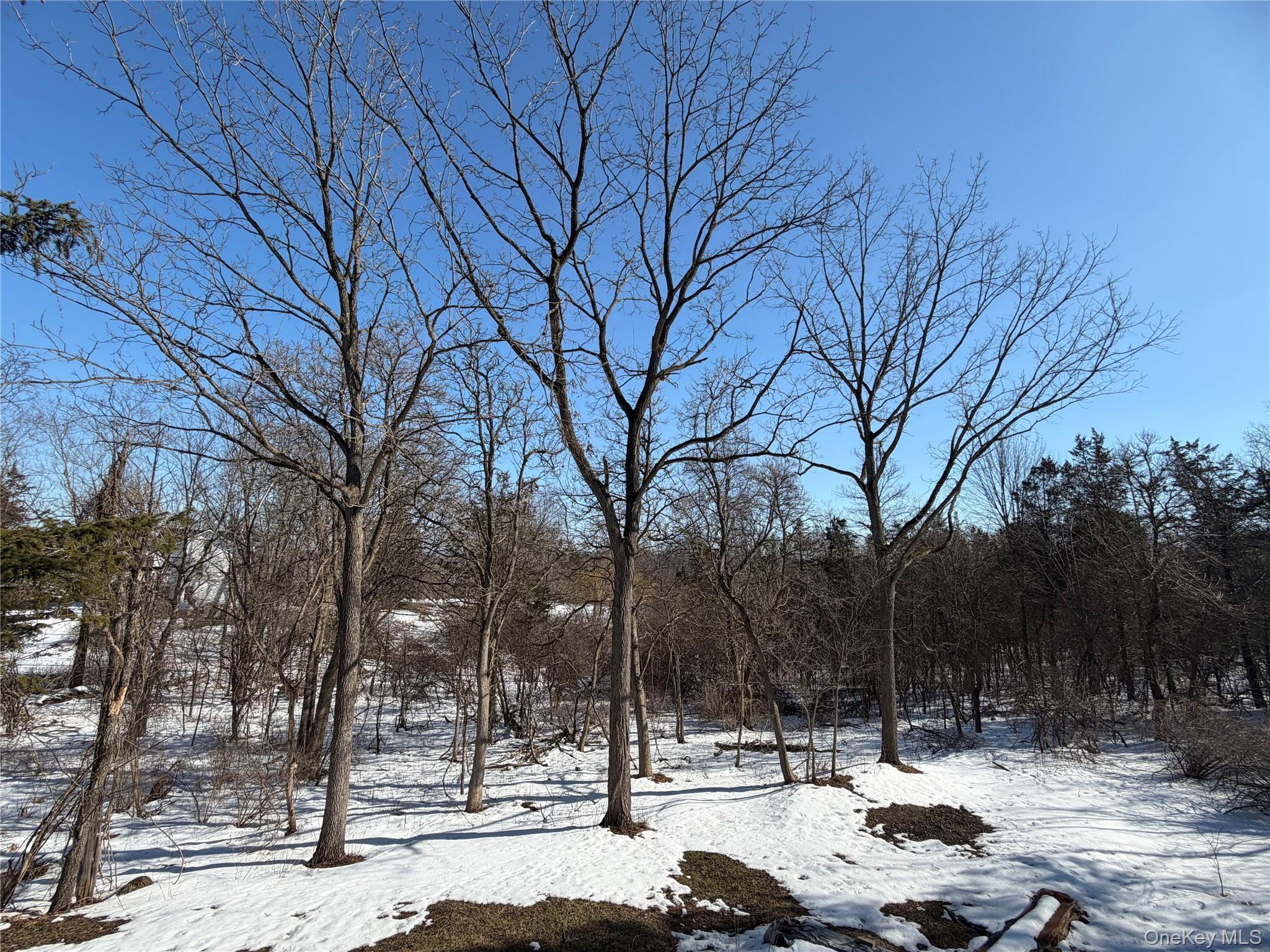 Single Family Us Route 9w  Greene County, NY 12015, MLS-943617-37