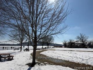 Single Family Us Route 9w  Greene County, NY 12015, MLS-943617-44