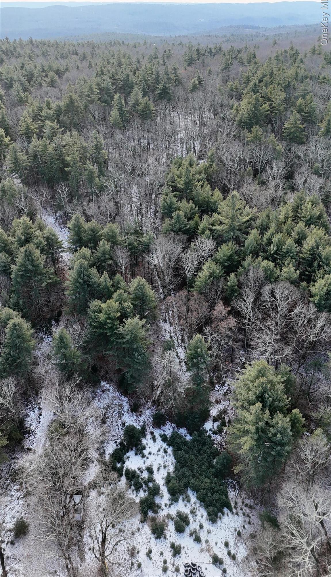 Single Family Skinner  Sullivan County, NY 12790, MLS-943655-23