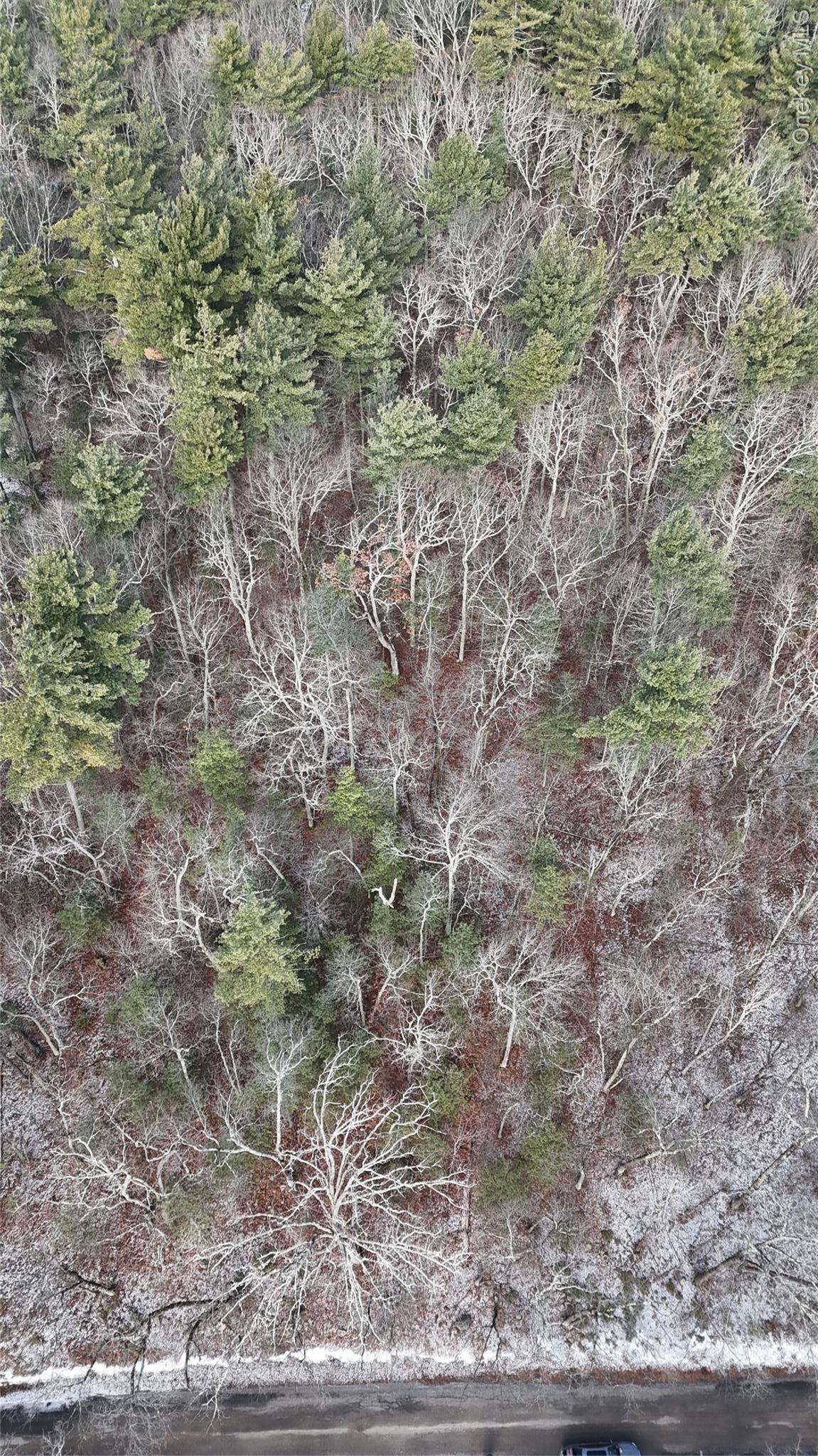 Single Family Skinner  Sullivan County, NY 12790, MLS-943655-26