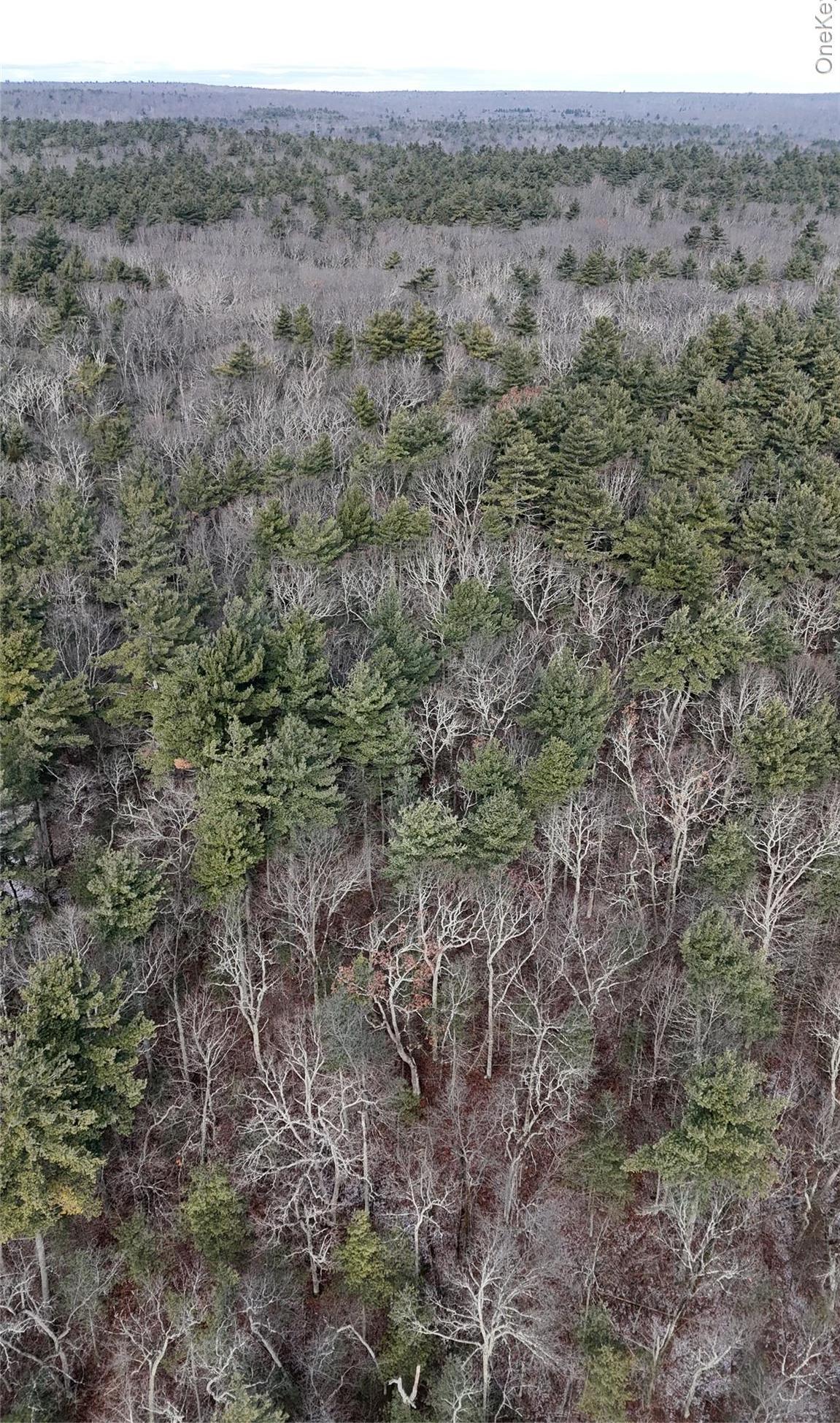 Single Family Skinner  Sullivan County, NY 12790, MLS-943655-27