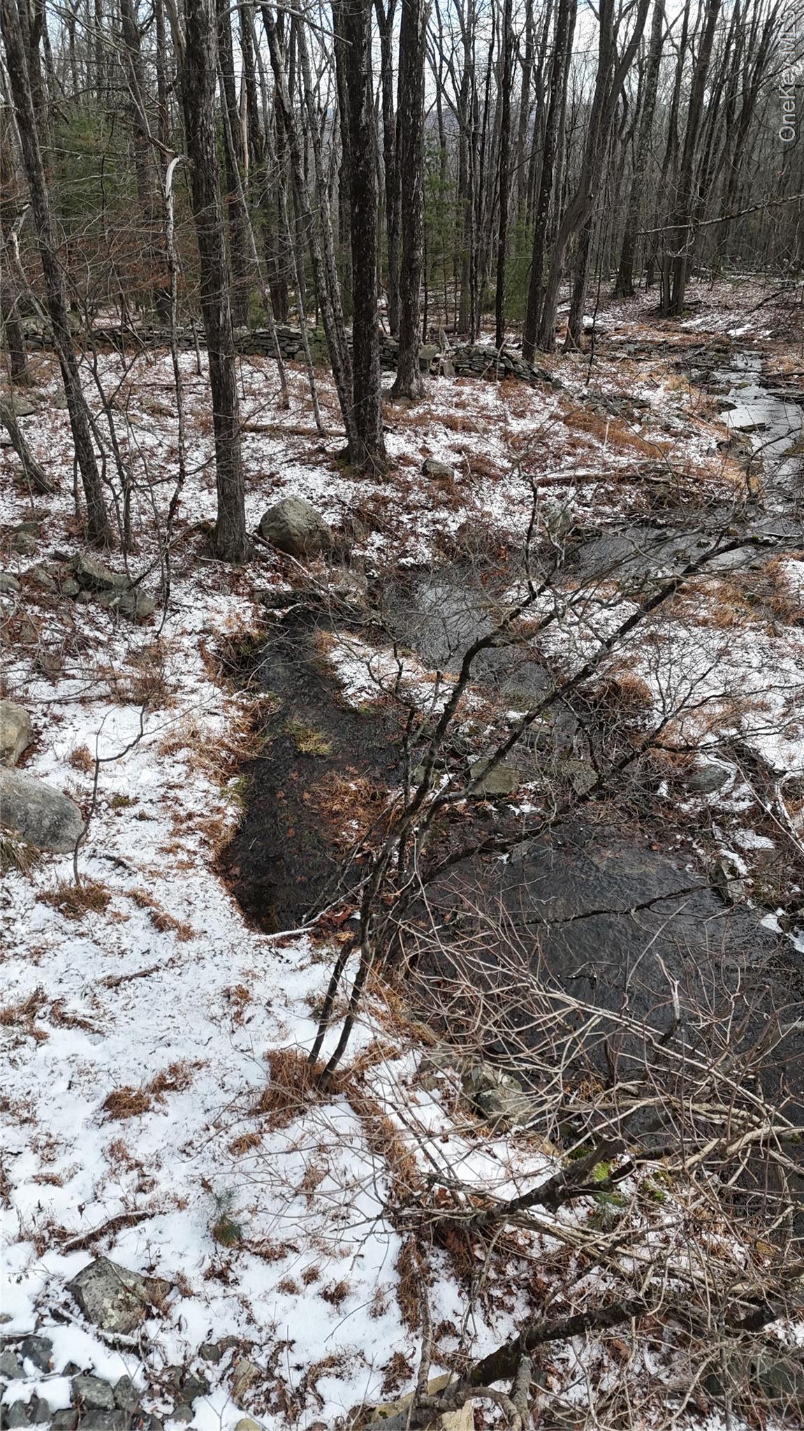 Single Family Skinner  Sullivan County, NY 12790, MLS-943655-30