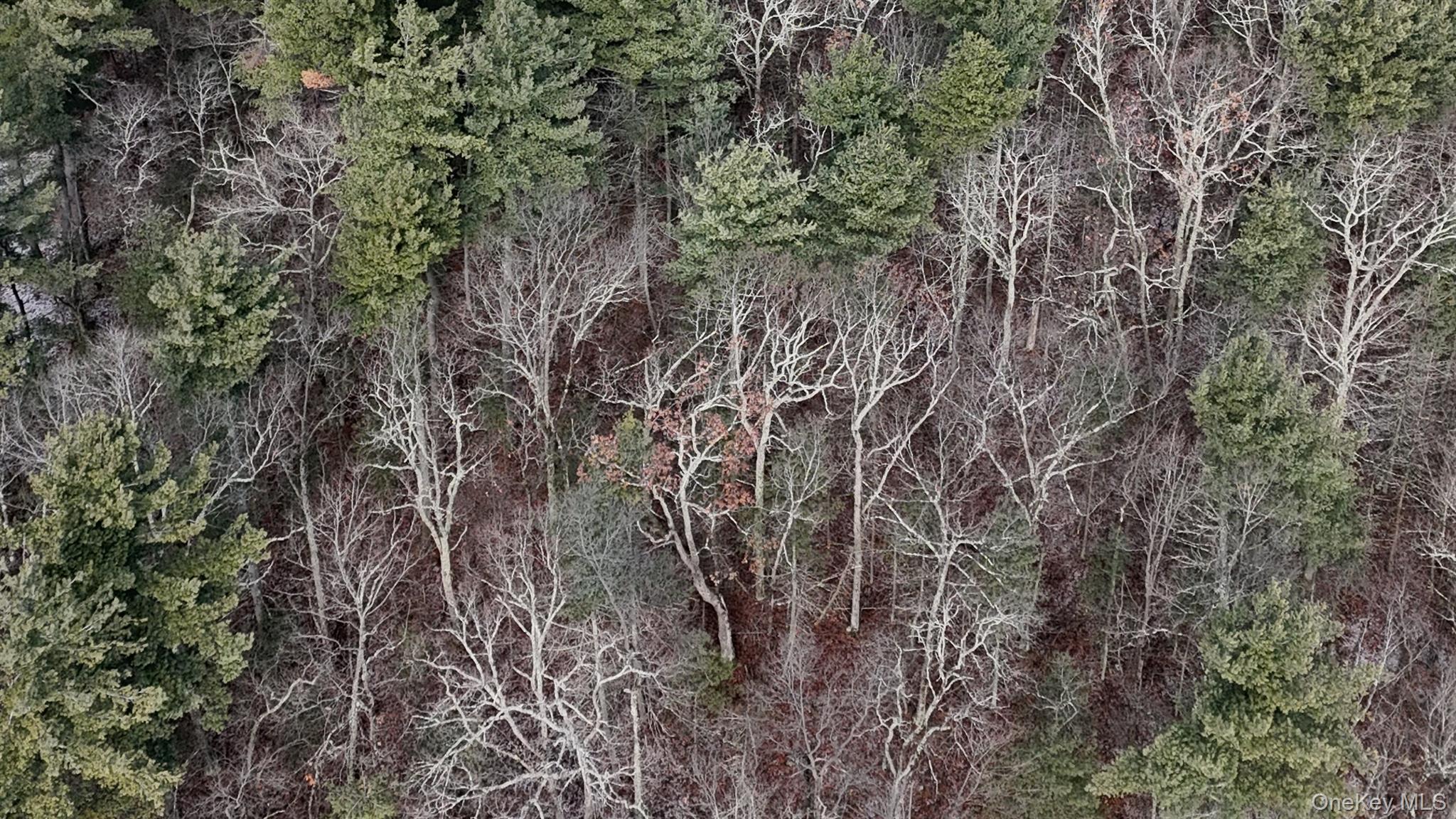 Single Family Skinner  Sullivan County, NY 12790, MLS-943655-35