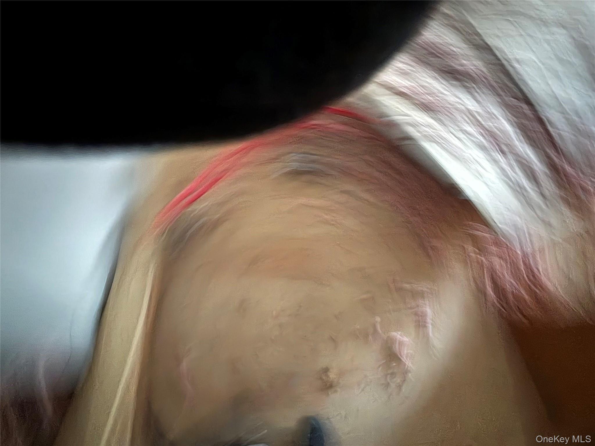 Single Family Skinner  Sullivan County, NY 12790, MLS-943655-48