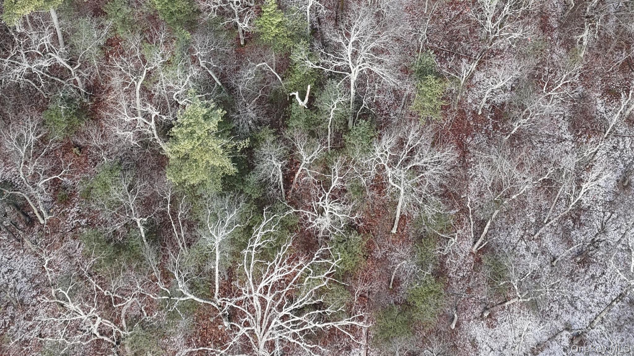 Single Family Skinner  Sullivan County, NY 12790, MLS-943655-6