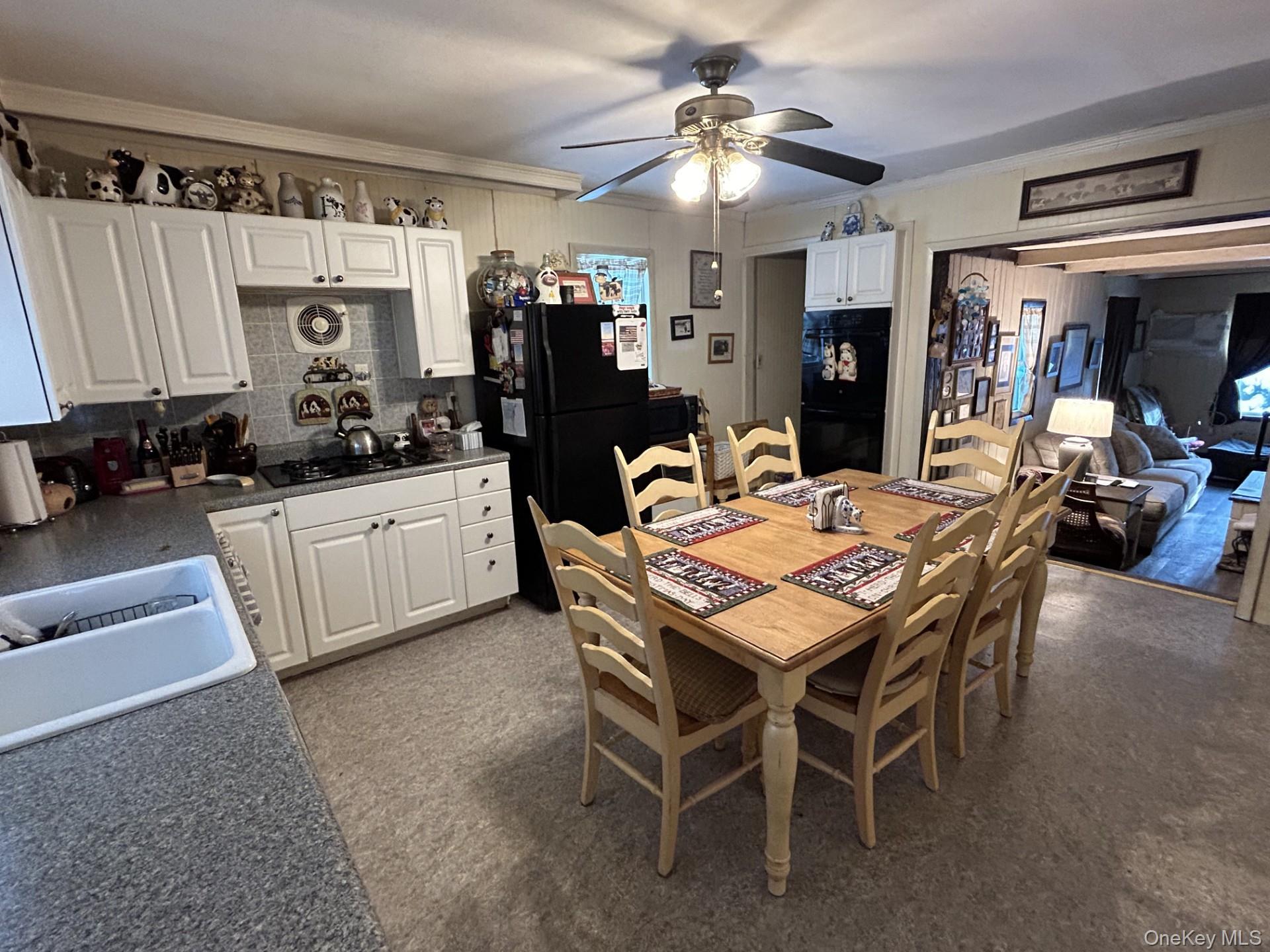 Single Family Larch  Suffolk County, NY 11787, MLS-943702-3