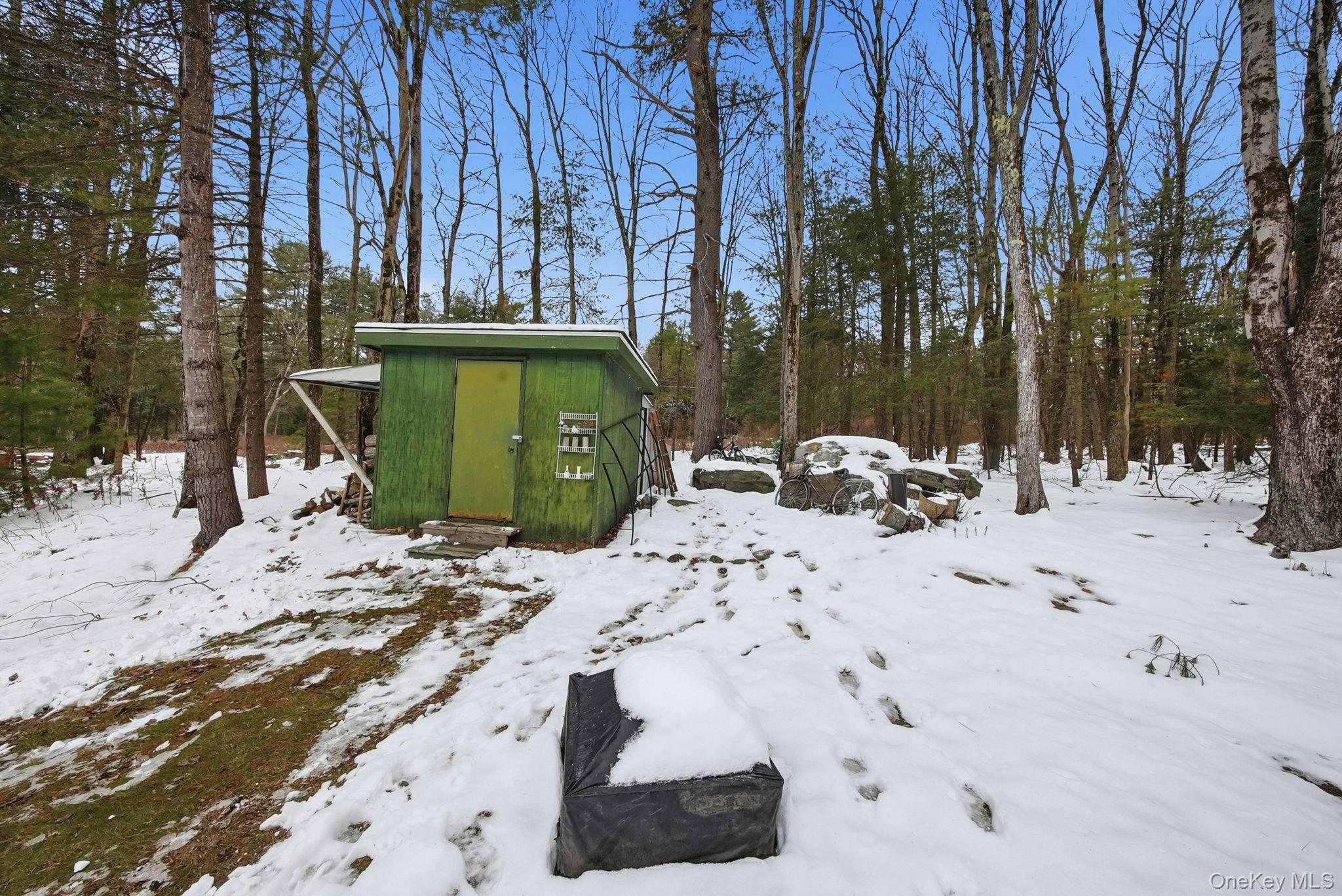 Single Family Elizabeth  Sullivan County, NY 12751, MLS-943716-24